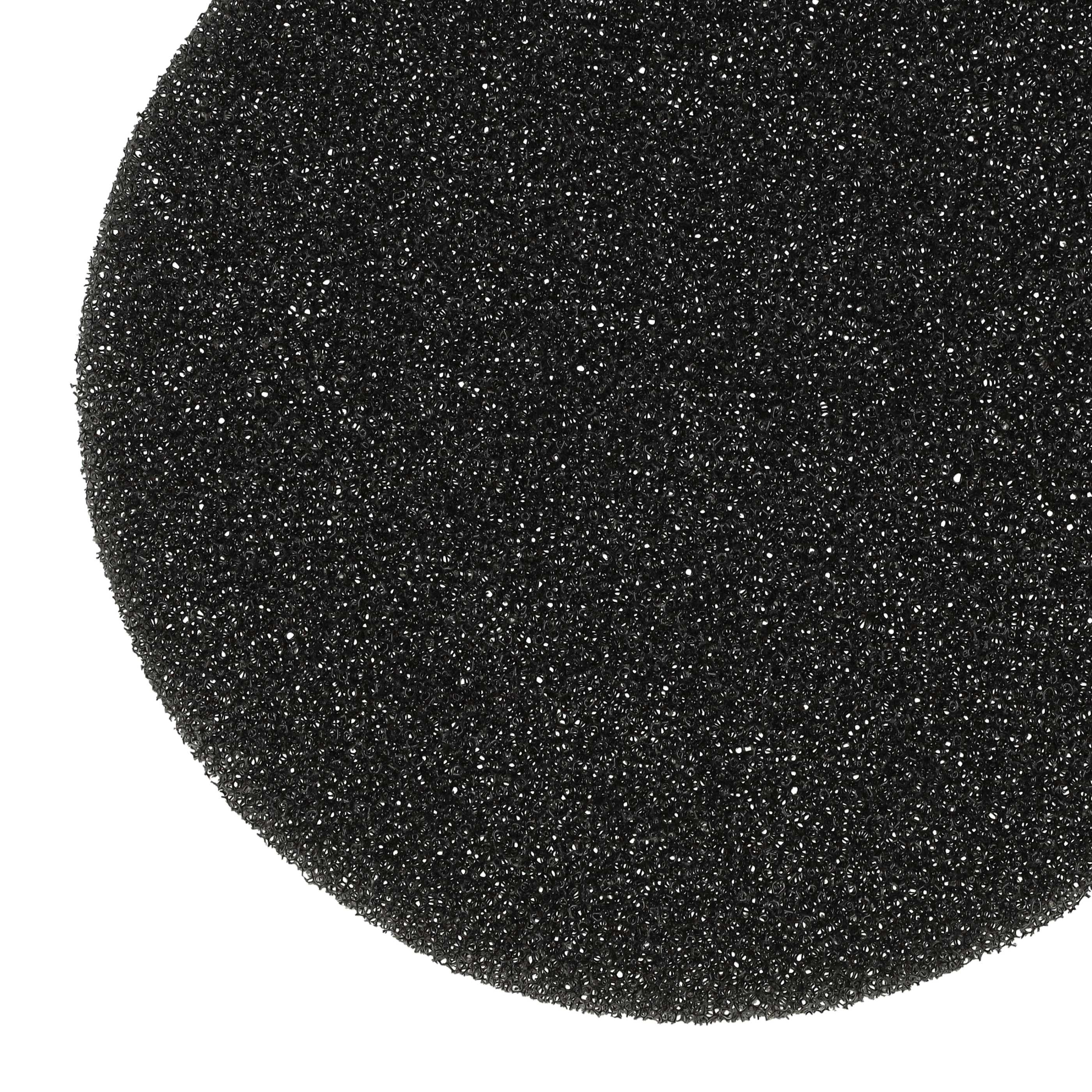 Nahaufnahme eines schwarzen, porösen Schaumstofffilters in runder Form vor weißem Hintergrund.