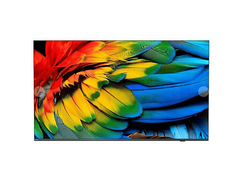 PHILIPS 65HFL6214U/12 Fernseher (Flat, 65 Zoll / 165,10 cm, UHD 4K)