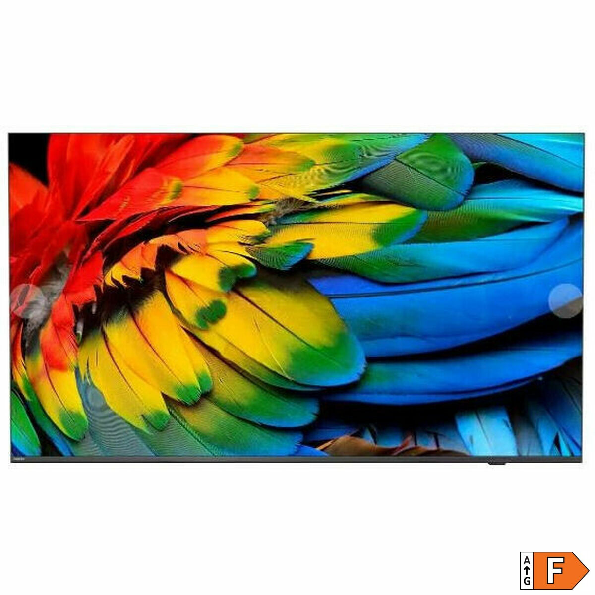 Ekran telewizora wyświetla zbliżenie kolorowych piór papugi w odcieniach czerwieni, żółci, zieleni i błękitu. Telewizor ma czarną ramkę.