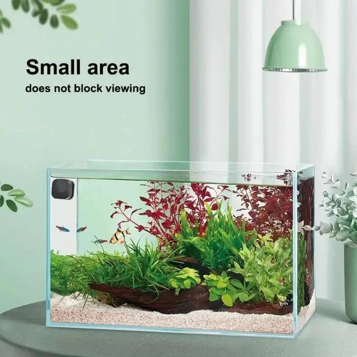 Ein rechteckiges Aquarium mit Wasserpflanzen und Fischen. Oben hängt eine Lampe. Der Hintergrund ist eine grüne Wand und ein Vorhang.
