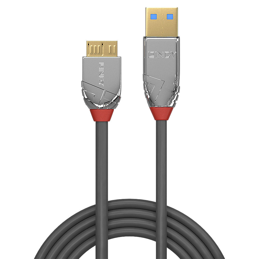 Un cavo USB grigio con connettori argentati e dettagli rossi. Il cavo ha un connettore USB dorato.