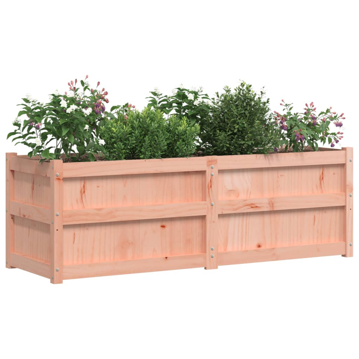 Ein rechteckiger Holzpflanzkasten mit verschiedenen Pflanzen. Die Pflanzen haben grüne Blätter und einige Blüten. Das Holz ist hellbraun.