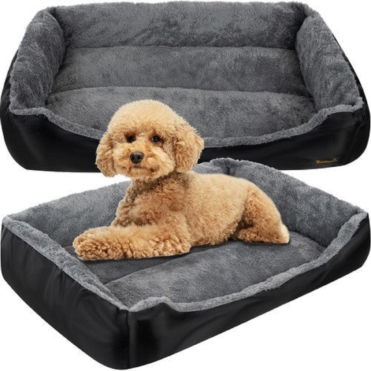 Un caniche marrón yace en una cama gris para perros. Otra cama está encima. Ambas camas son negras y grises.