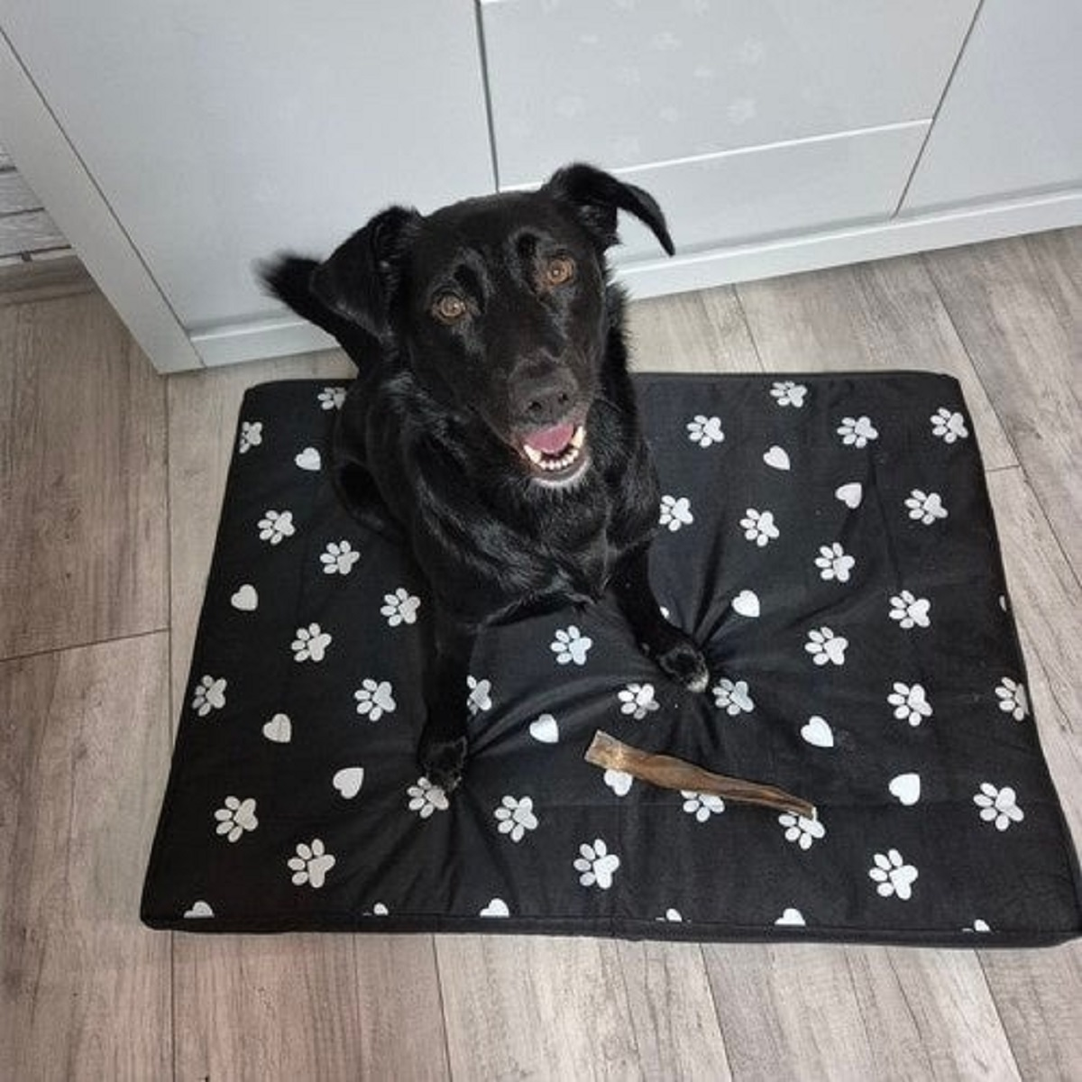 Un perro negro está sentado en una cama negra con huellas de patas y corazones blancos. Una golosina está delante del perro. El perro está sonriendo.