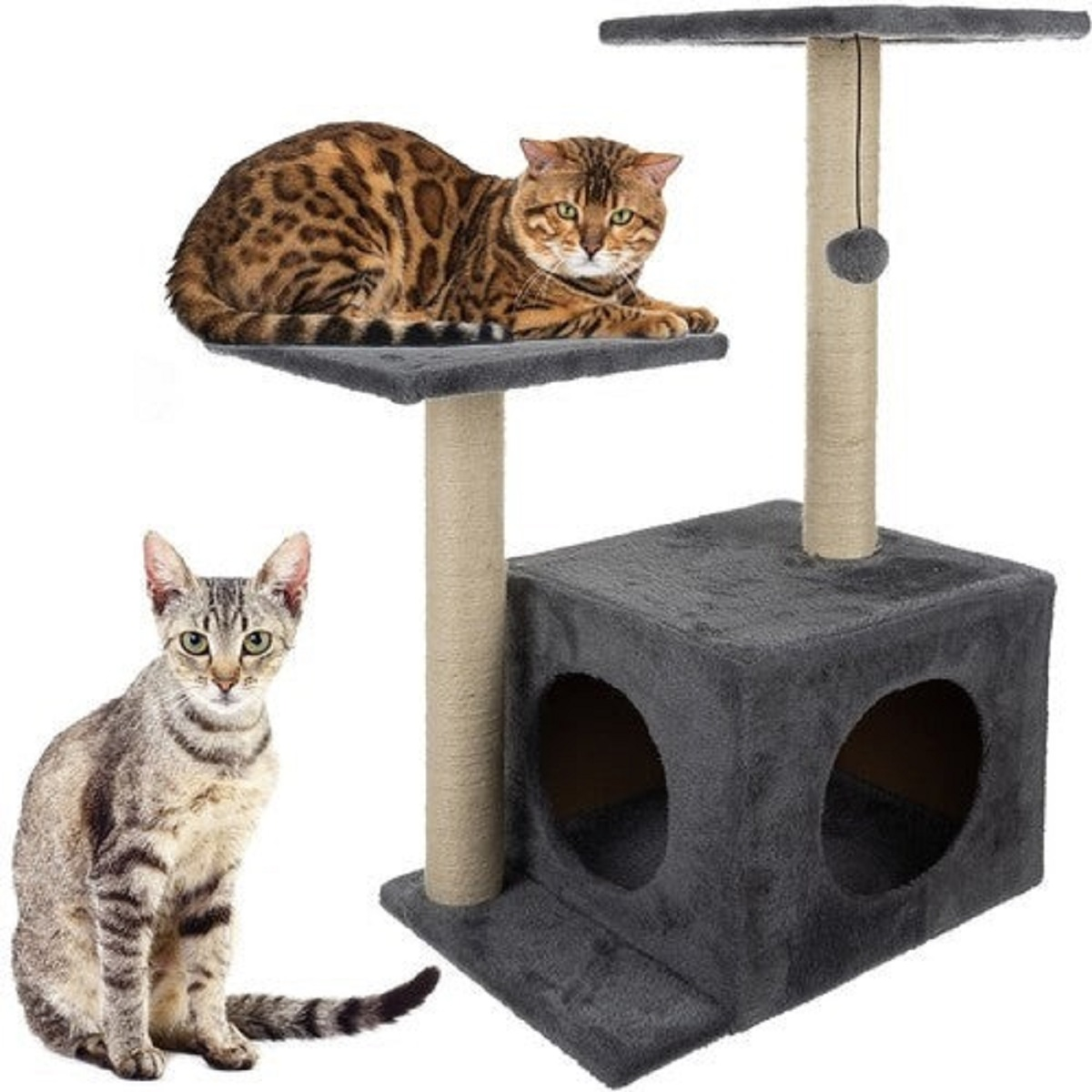Dos gatos y un rascador. Uno es manchado, el otro rayado. El árbol tiene plataformas, postes y un cubo con agujeros.