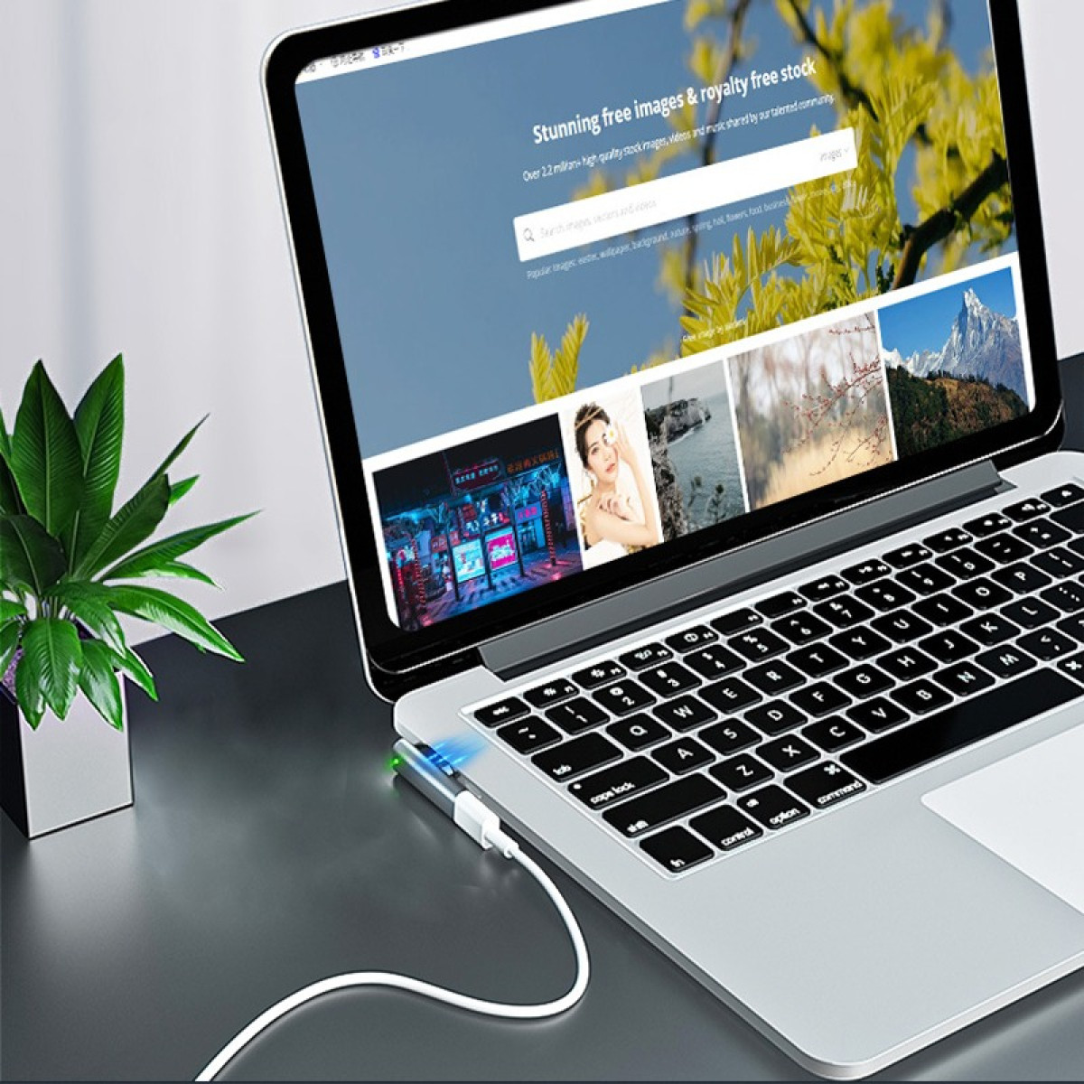 Laptop mit Website, angeschlossen an ein Ladegerät. Eine Topfpflanze links. Tastatur sichtbar, mit weißem Kabel.