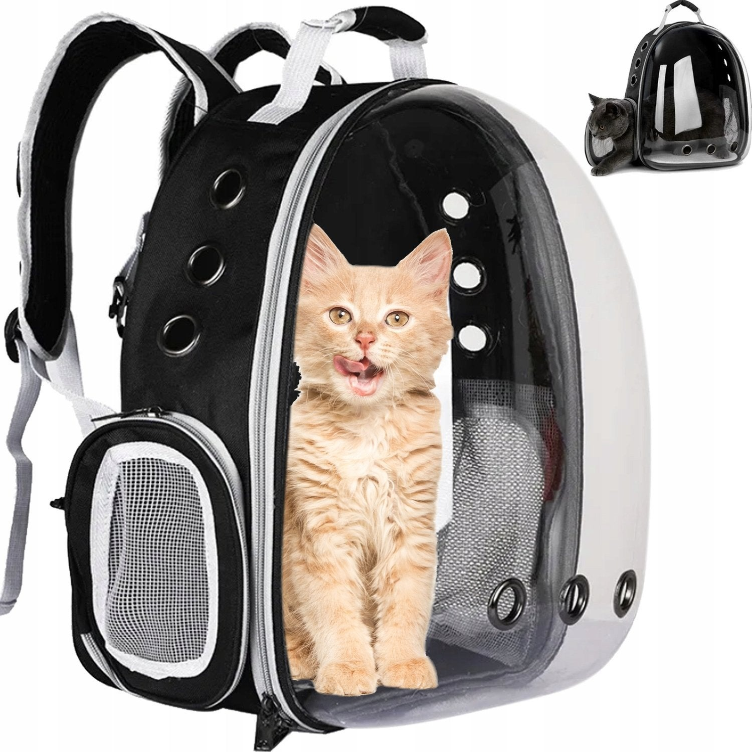 Un gato en una mochila transportadora. El gato es naranja y tiene la lengua afuera. La mochila es negra y transparente.