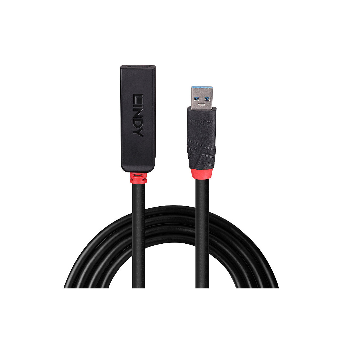 Un cavo USB Lindy nero con un accento rosso. Ha un connettore rettangolare nero e un connettore USB blu.