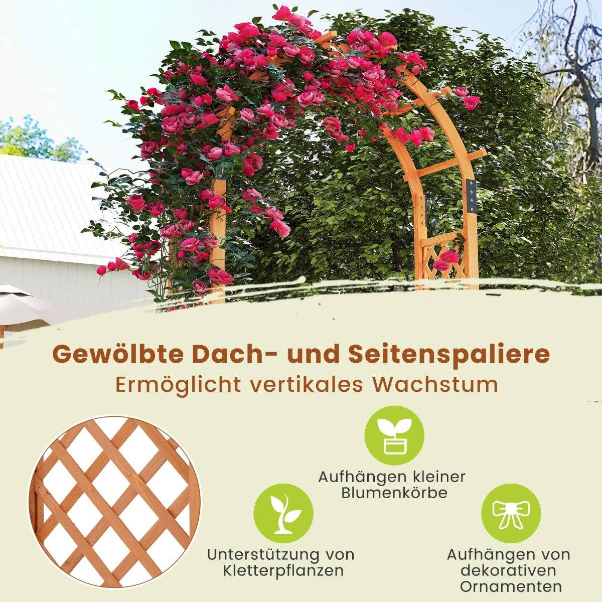 Un arco de madera cubierto de rosas rosas. Tiene un detalle de celosía y está en un jardín. El texto promociona plantas trepadoras.