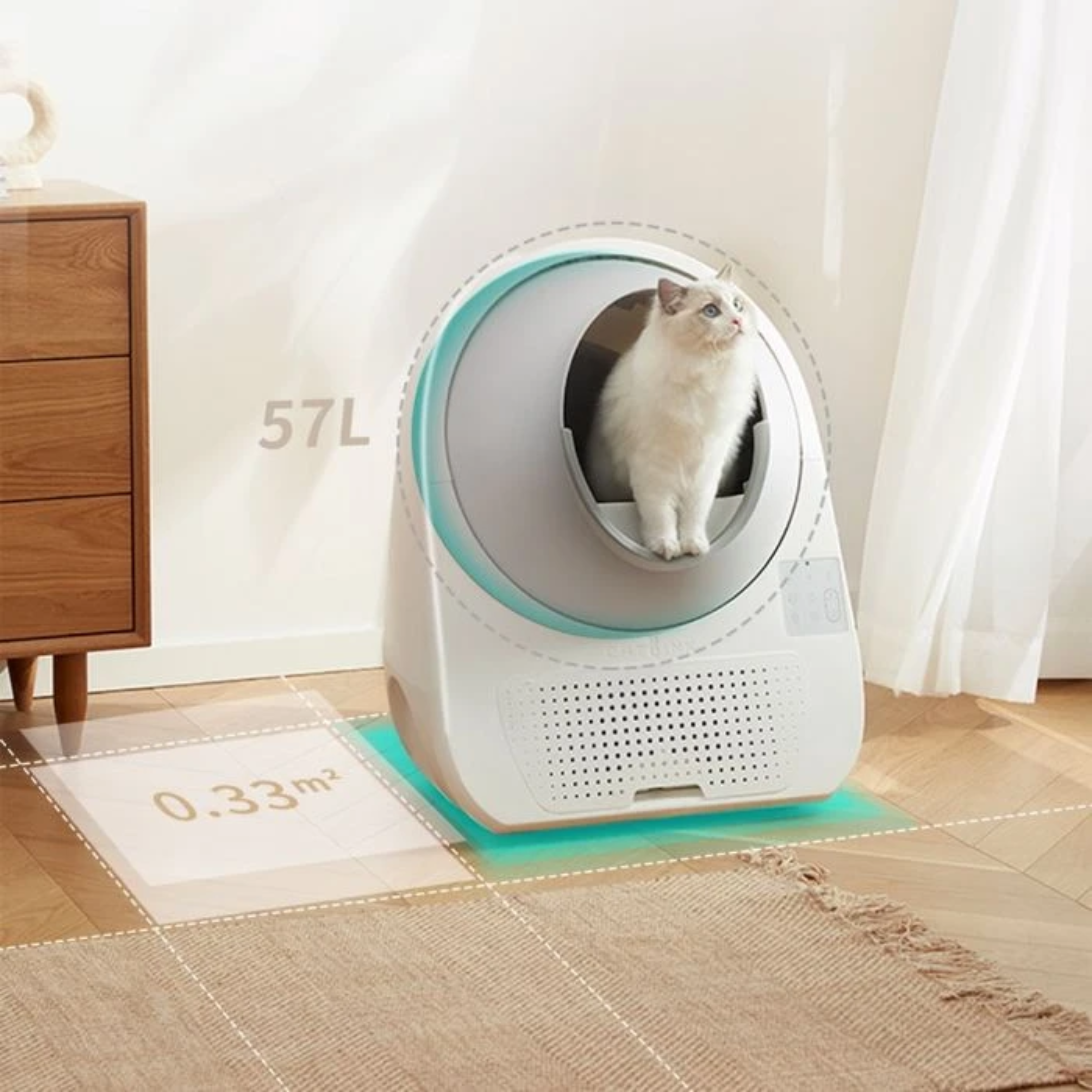 Eine weiße Katze in einer modernen Katzentoilette. Die Box ist weiß und blaugrün. Links ein Holzschrank.