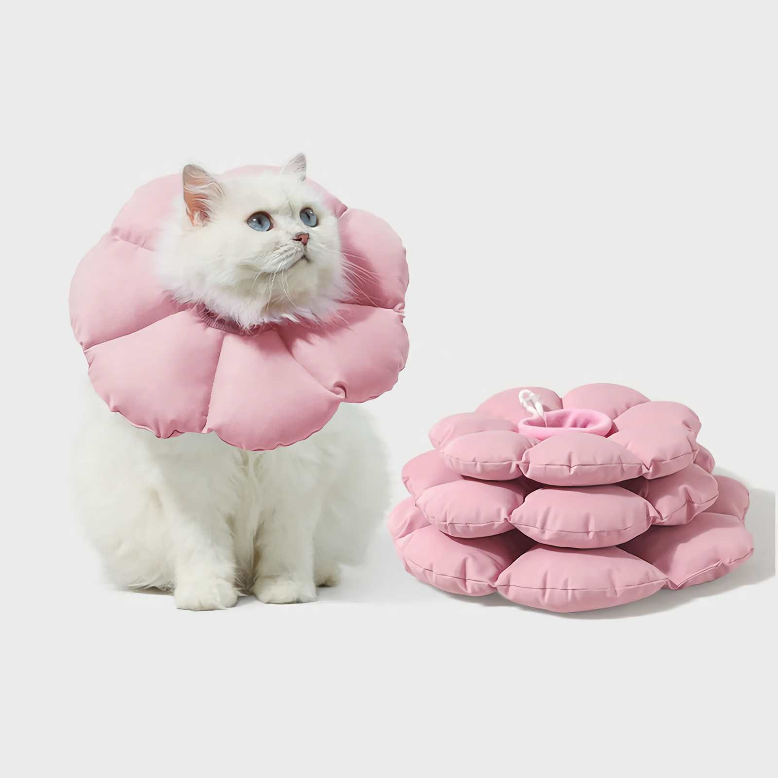 Eine weiße Katze mit blauen Augen trägt einen rosa blütenförmigen Kragen. Ein passender Kragen liegt daneben.