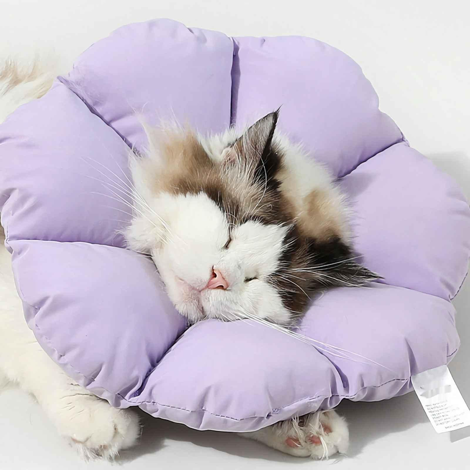 Eine Katze mit einem lila blütenförmigen Kragen, schläft auf einer weißen Oberfläche. Die Katze hat weißes, braunes und schwarzes Fell.