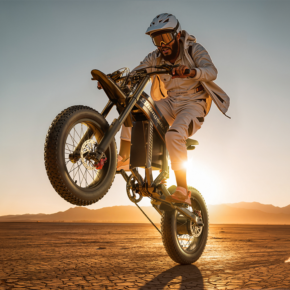 Mann auf einem E-Bike, der einen Wheelie in einer Wüste macht. Trägt Helm und Brille. Die Sonne geht hinter Bergen unter.