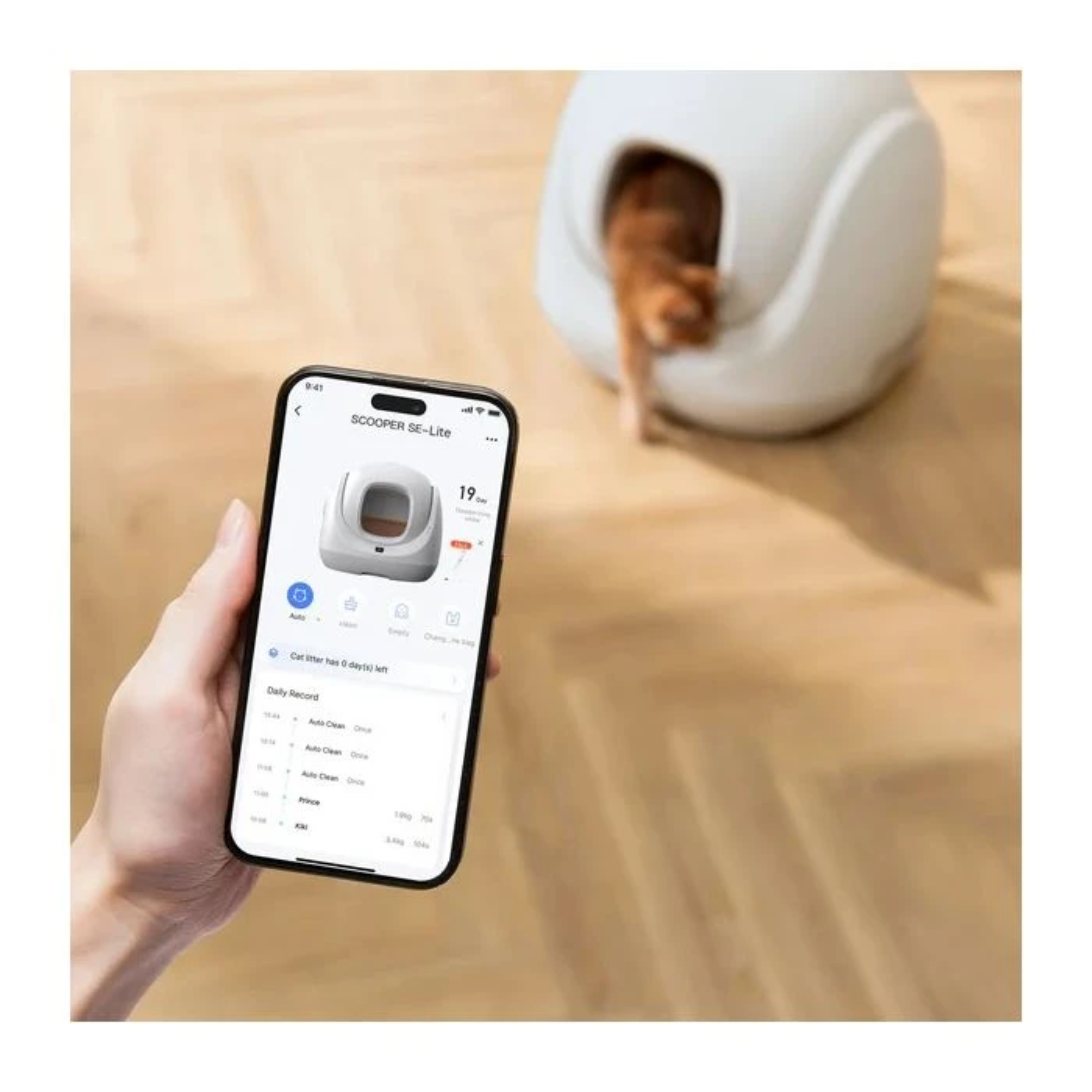 Een hand houdt een telefoon vast met een kattenbak-app. Een kat komt een witte kattenbak op de achtergrond binnen.