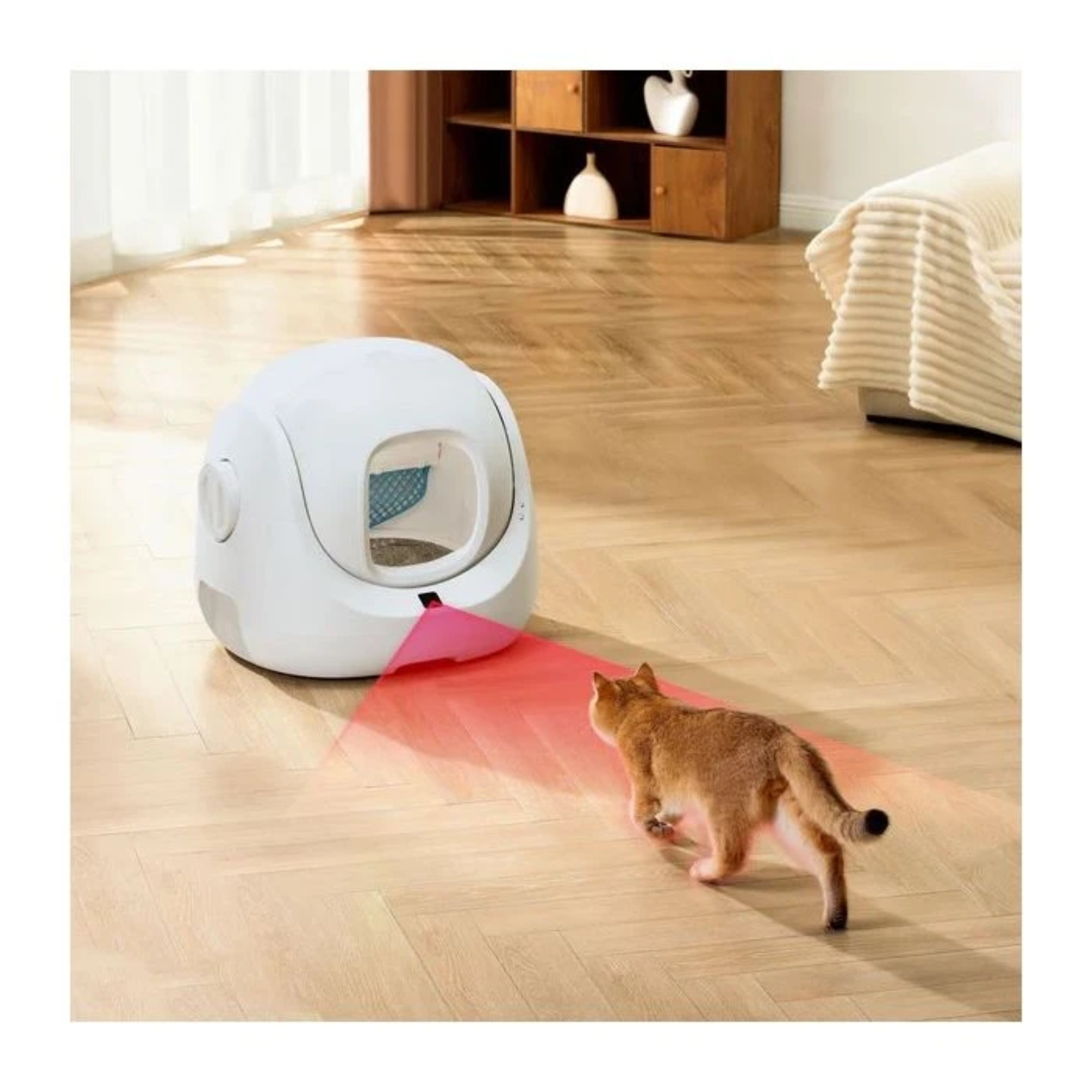 Een kat rent naar een witte kattenbak. Een rode laserpointer ligt op de grond. De achtergrond heeft meubels.