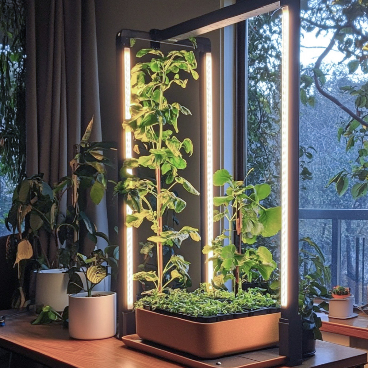 Indoor tuinset met planten en groeilampen. Planten in potten en een rechthoekige plantenbak. Raam met uitzicht naar buiten.