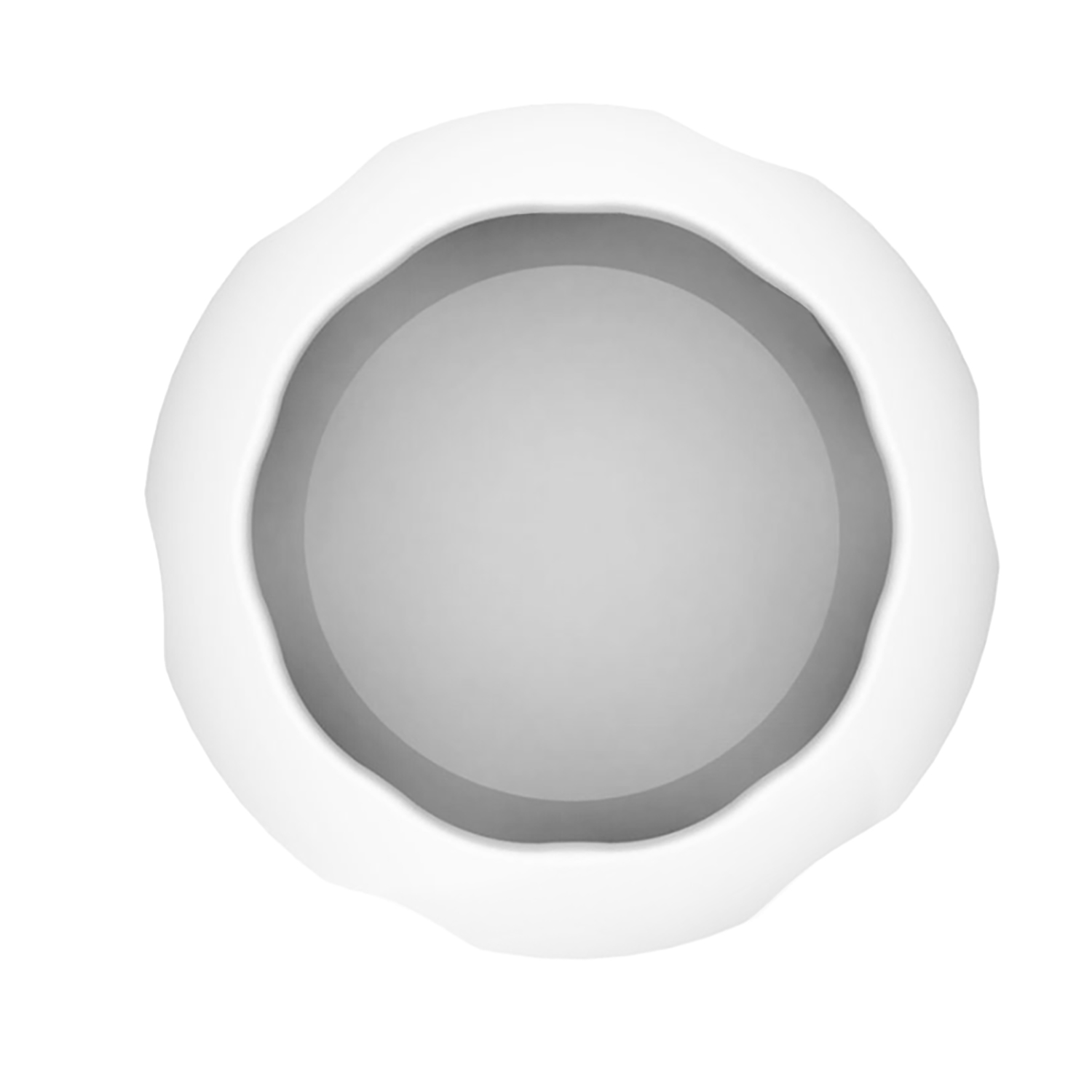 Un anello bianco di forma irregolare circonda un cerchio grigio. Lo sfondo è bianco. Il bordo dell'anello è leggermente irregolare.