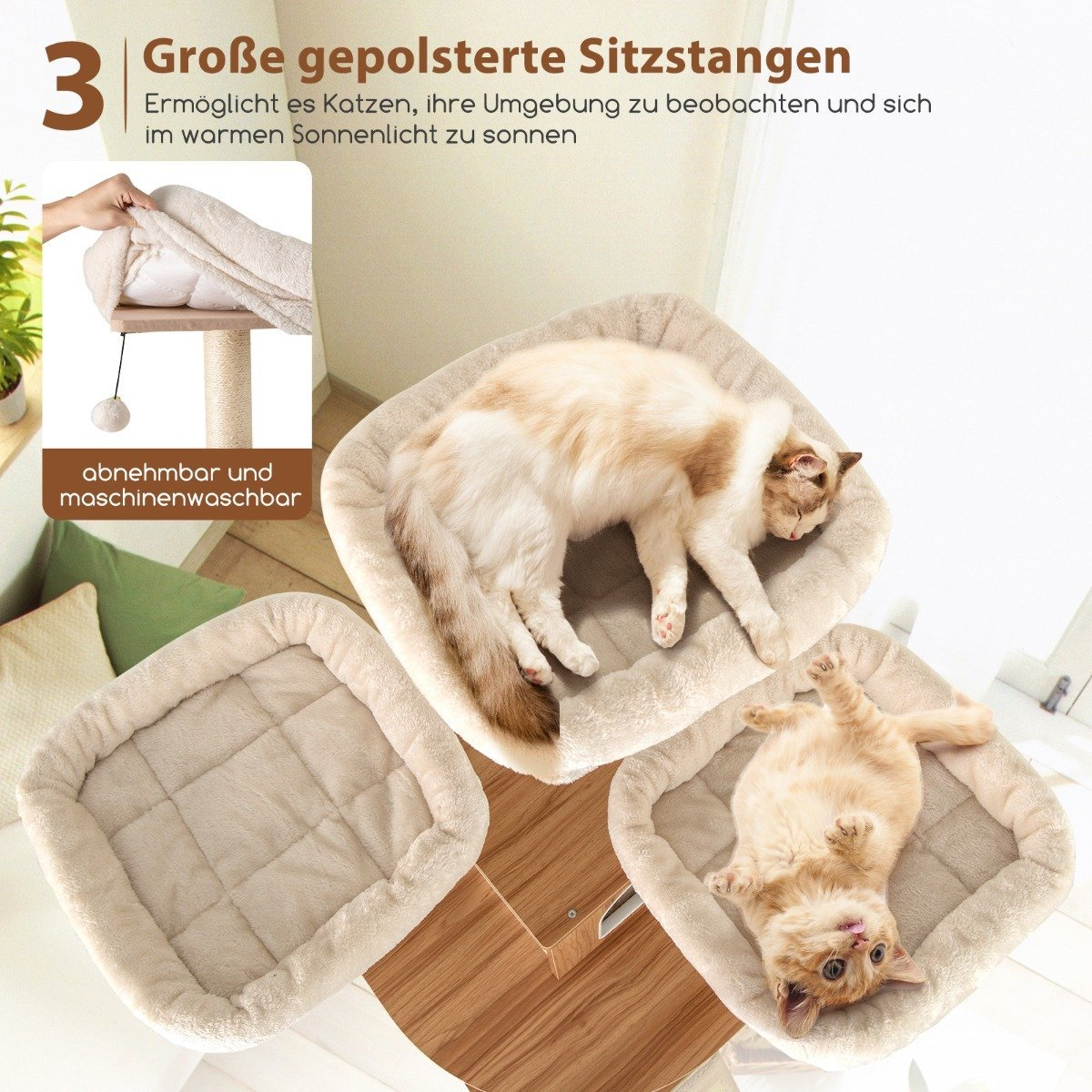 Dos gatos descansan en camas beige para gatos sobre una estructura de madera. Una tercera cama vacía está cerca. El texto dice 'perchas acolchadas grandes'.