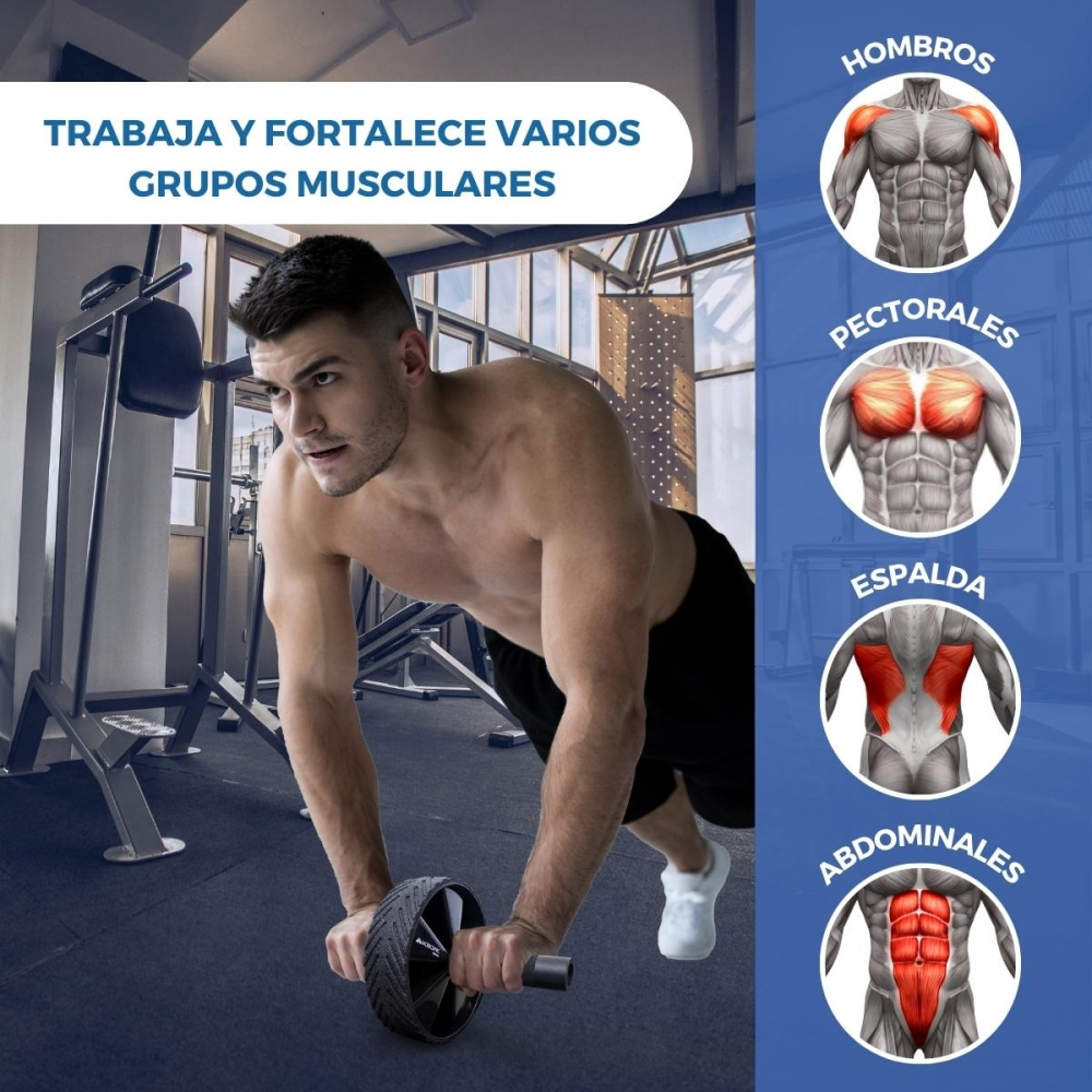 Un hombre usa una rueda abdominal en un gimnasio. Diagramas musculares muestran los grupos musculares trabajados.