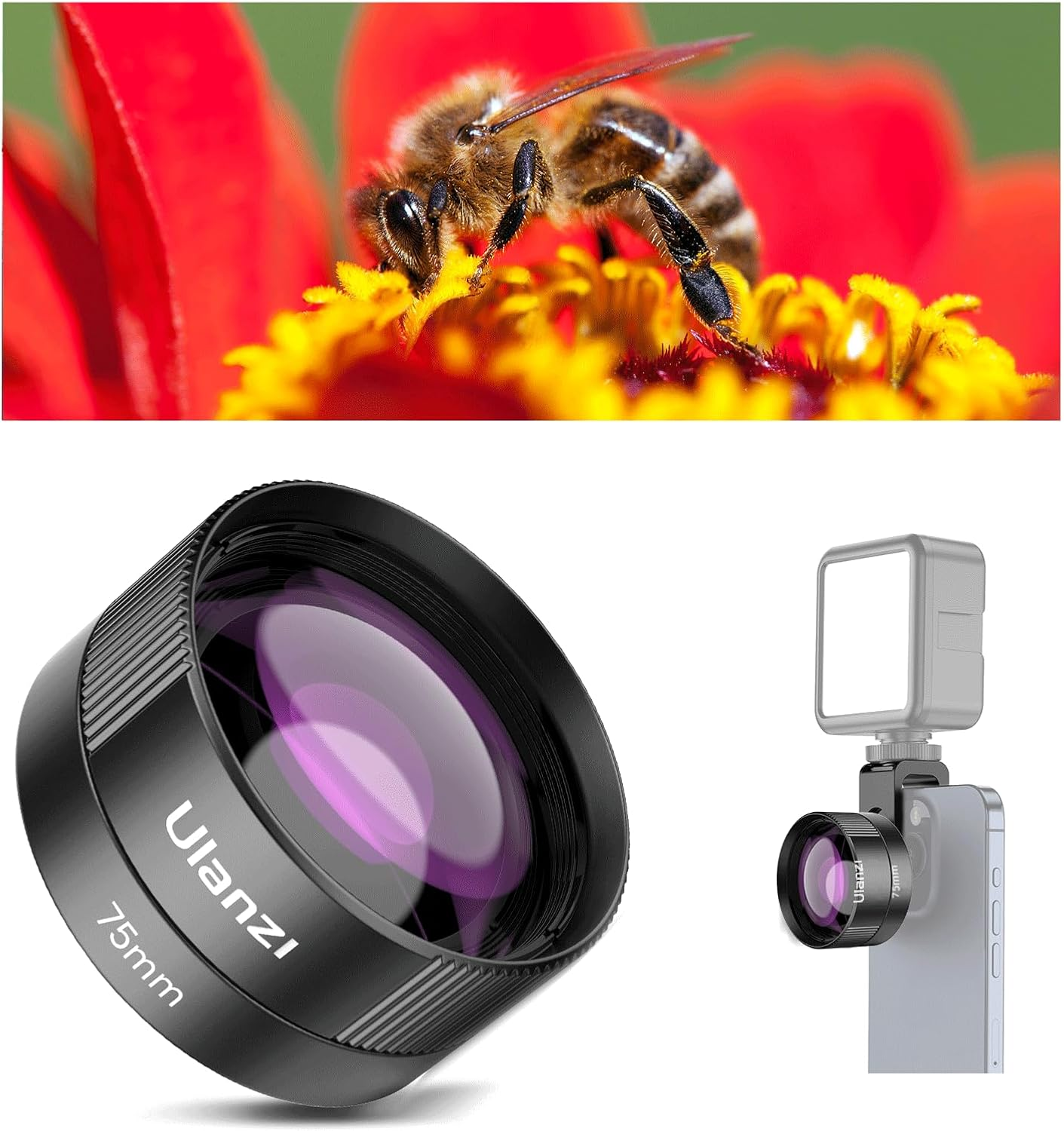 Un'ape su un fiore giallo con un petalo rosso. Sotto c'è un obiettivo della fotocamera. L'obiettivo è collegato a un telefono.