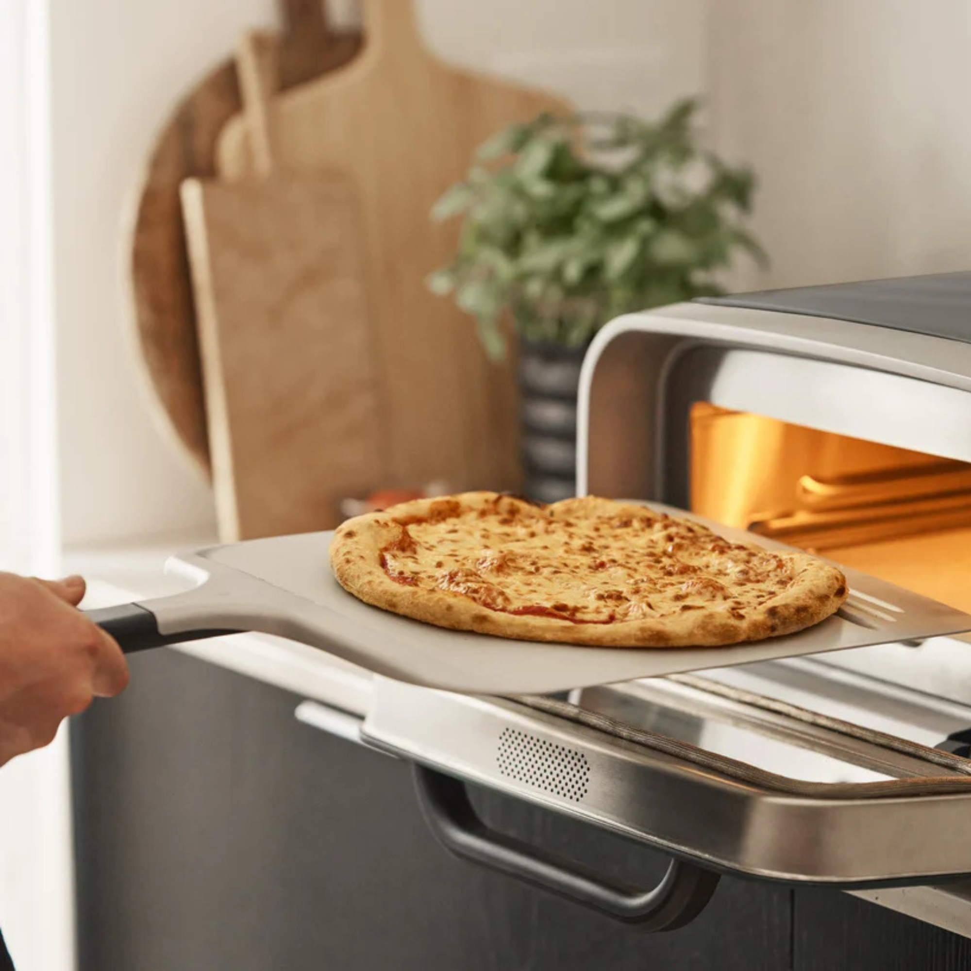 Eine Pizza wird auf einer Schaufel in einen Pizzaofen gelegt. Die Hand einer Person hält die Schaufel.