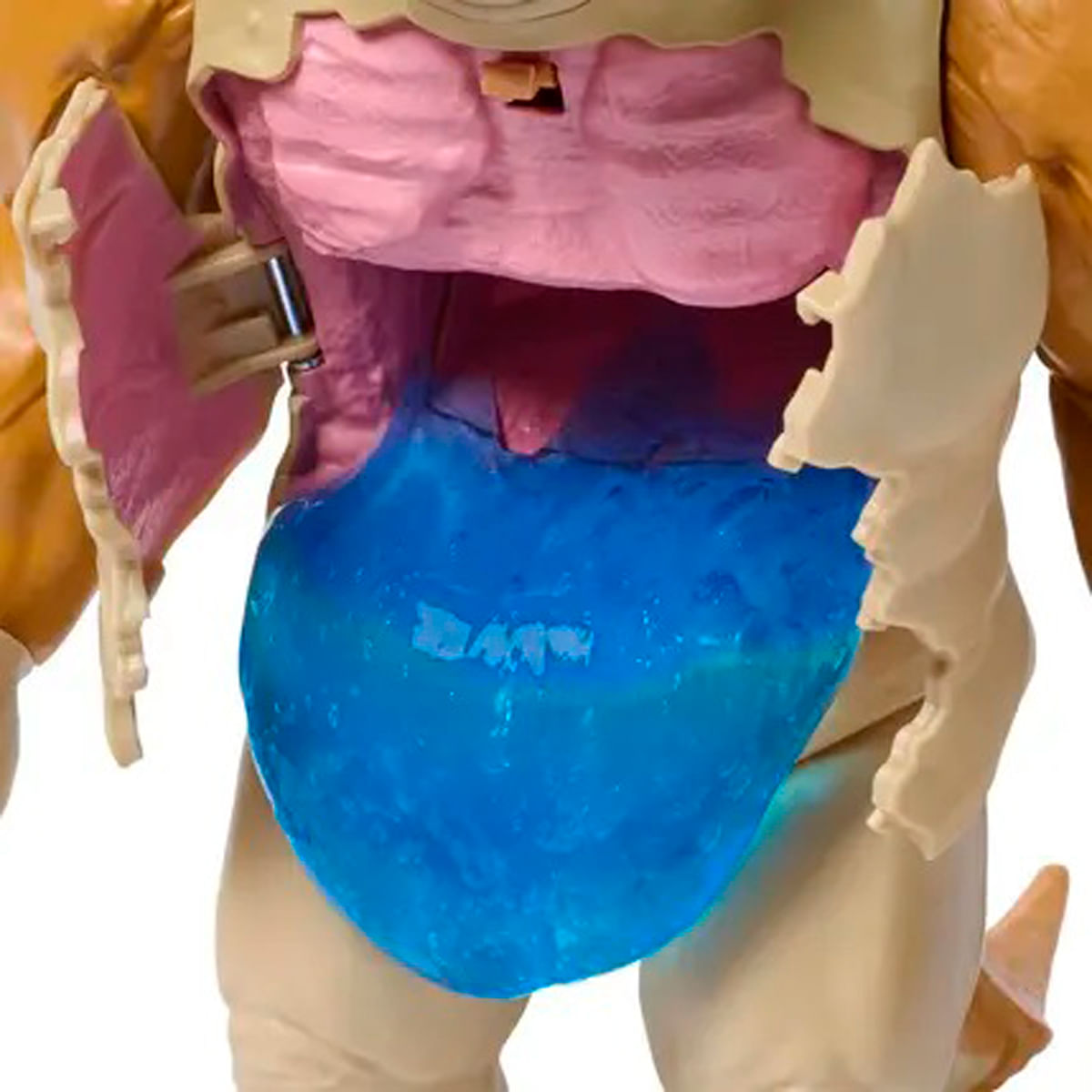 Figura de juguete con el pecho abierto que revela componentes internos rosas, beige y azules. Visible una estructura azul gelatinosa.