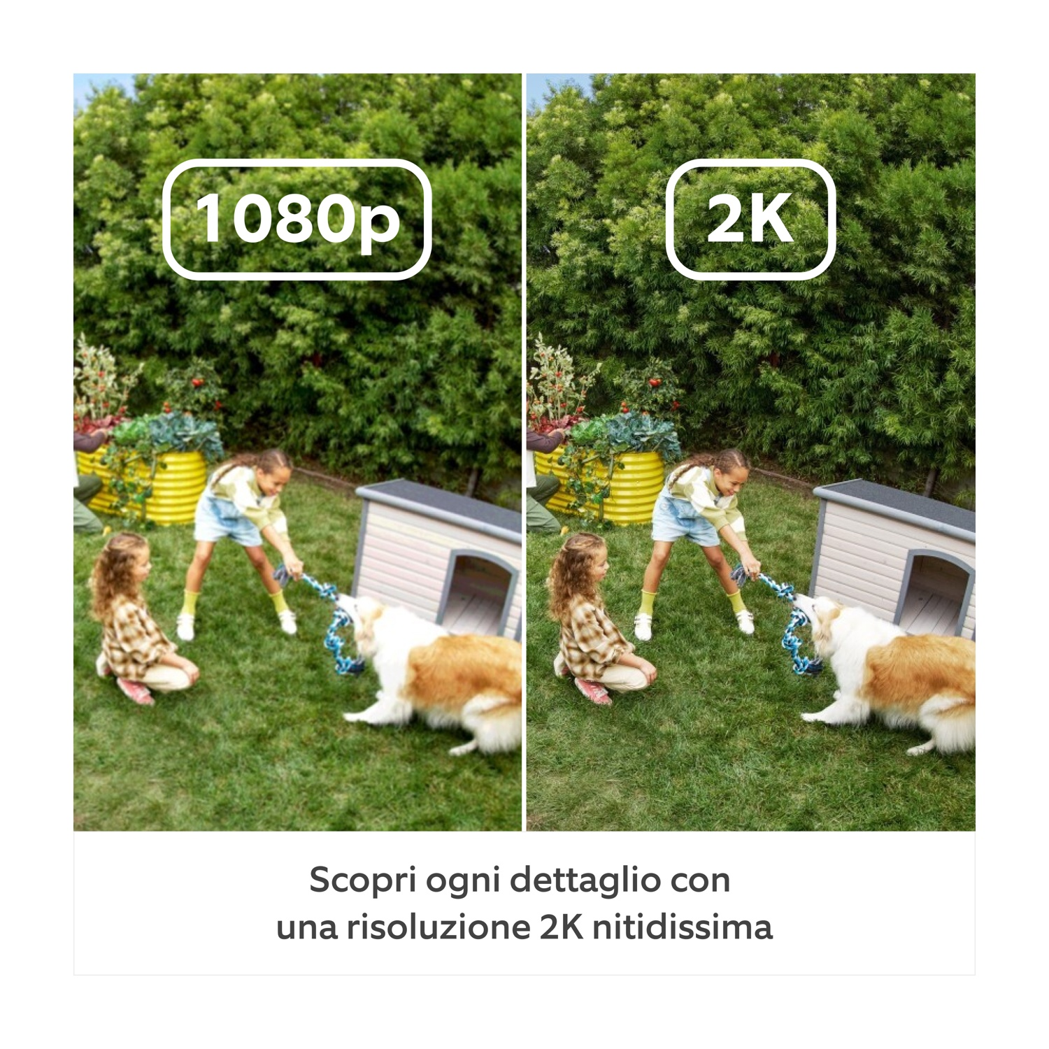 Dwie dziewczynki bawią się w przeciąganie liny z psem. Scena rozgrywa się w ogrodzie, z budą dla psa, otoczonym zielonymi krzewami.