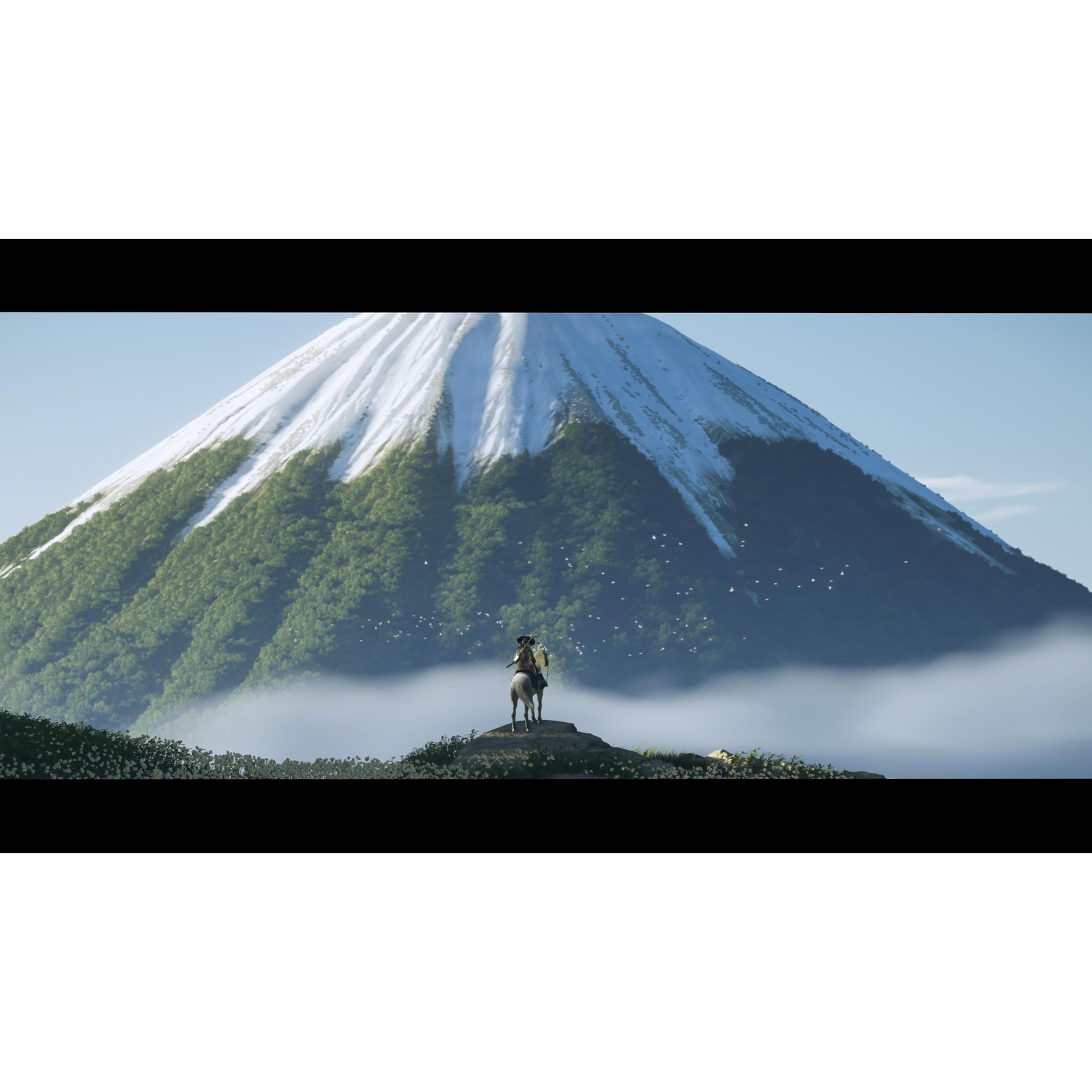 Osoba na białym koniu stoi na wzgórzu, patrząc na mglisty krajobraz z dużą górą w tle.