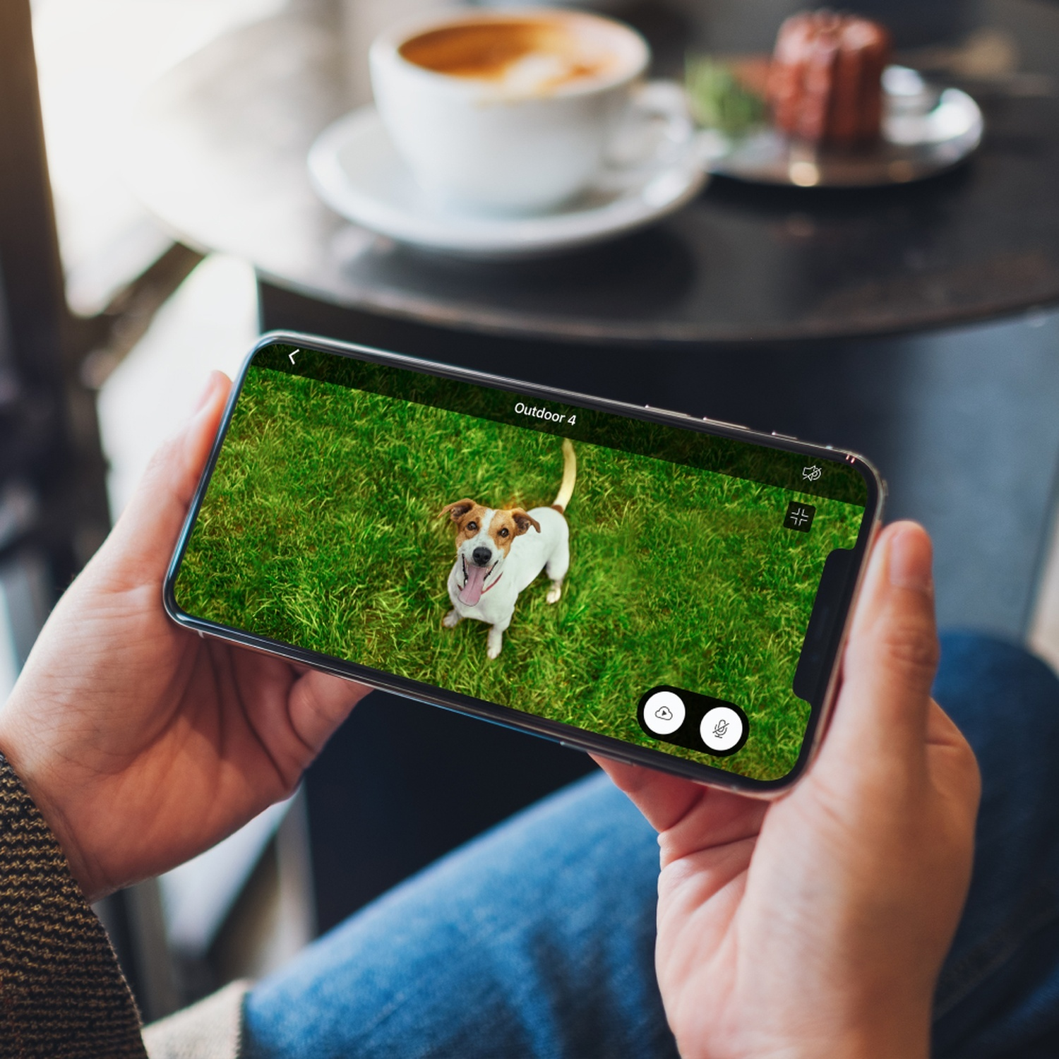 Eine Person hält ein Telefon, das einen Hund auf Gras zeigt. Kaffee und Gebäck stehen auf einem Tisch. Der Hund ist weiß und braun.