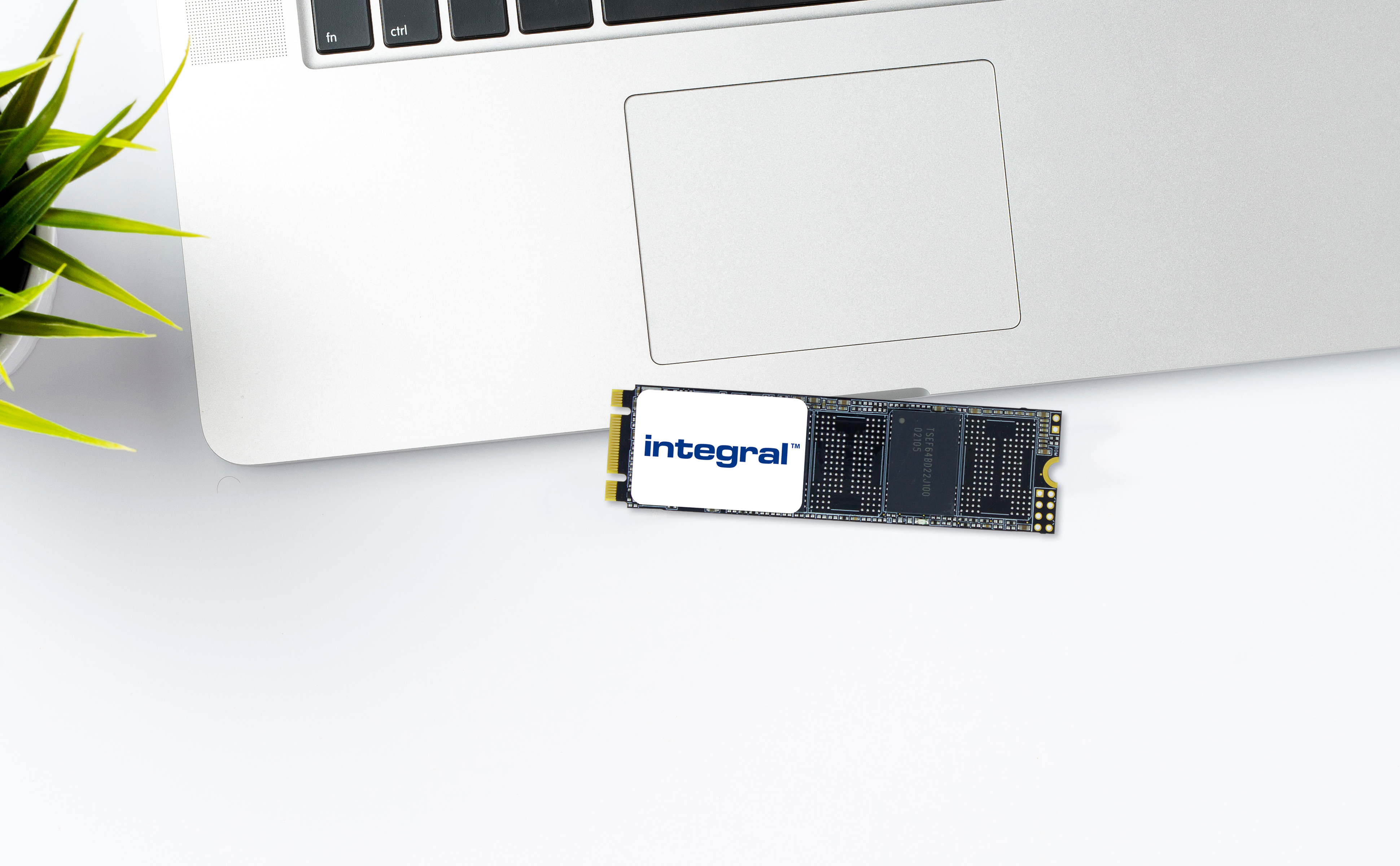 Laptop z dyskiem SSD Integral. Zielona roślina po lewej. Biała powierzchnia.