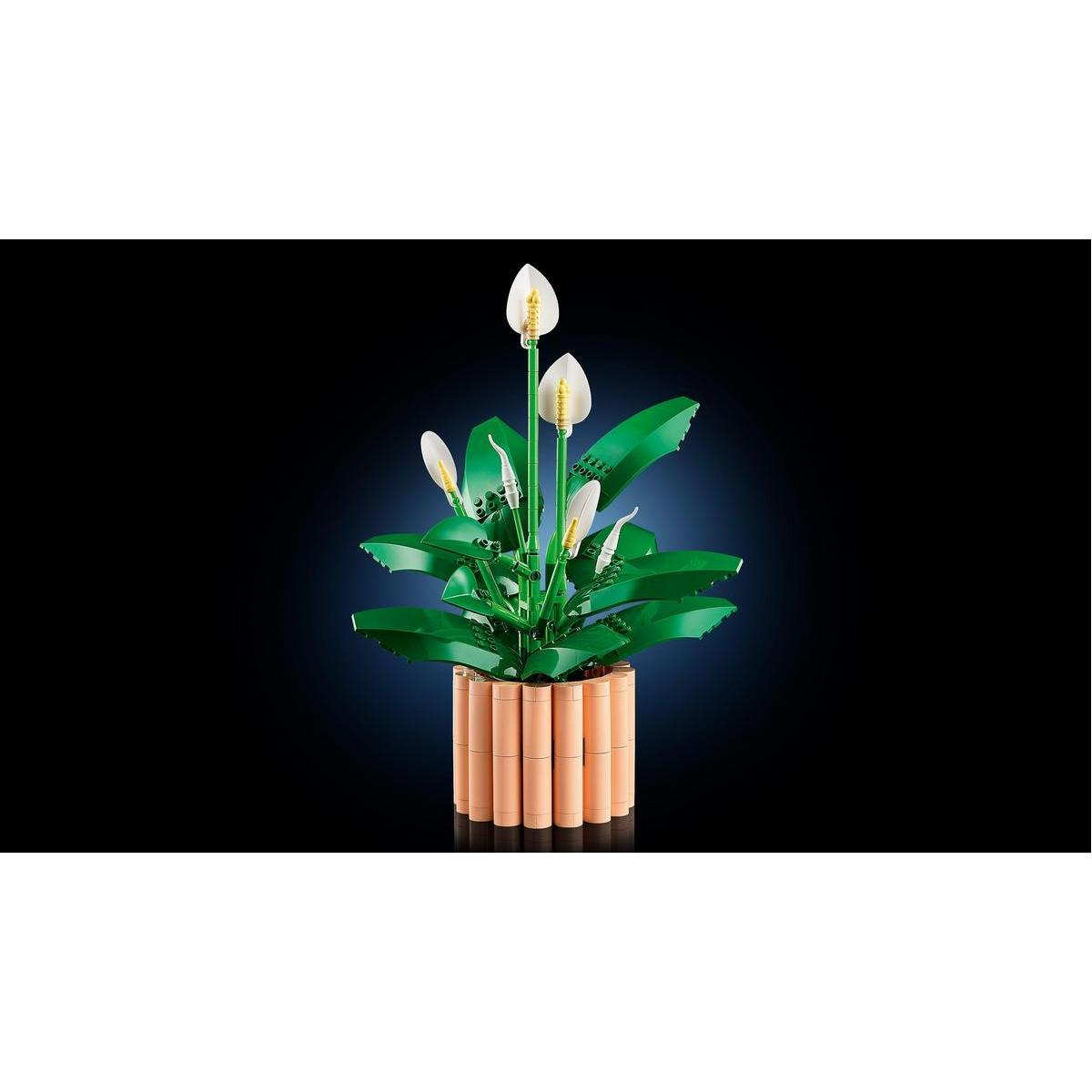 Roślina Lego z zielonymi liśćmi i białymi kwiatami w beżowej doniczce na ciemnoniebieskim tle.