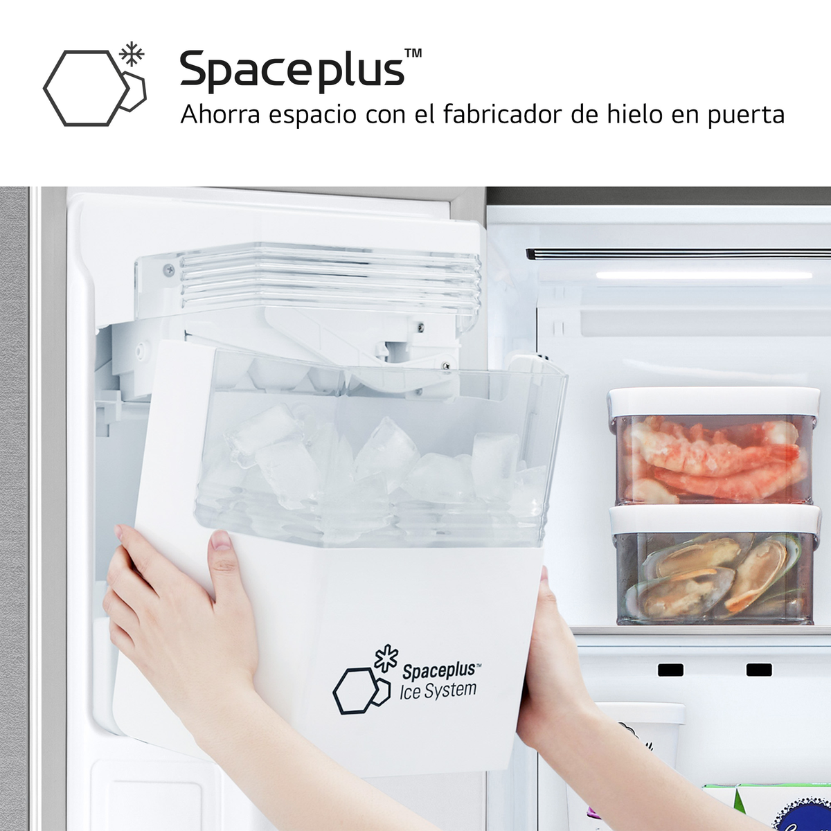Una persona sostiene un recipiente de hielo blanco lleno de cubitos de hielo, dentro de un refrigerador. Se ven camarones y mejillones.