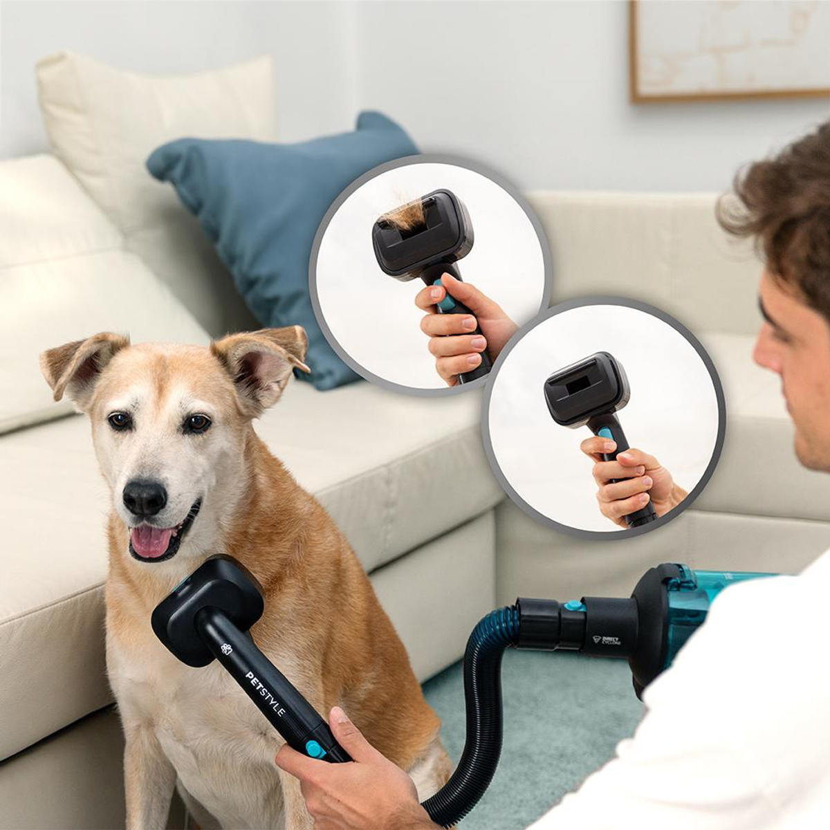 Un cane viene toelettato con un aspirapolvere per animali domestici. Due inserti circolari mostrano la spazzola. Un uomo tiene una spazzola, il cane sorride alla fotocamera.