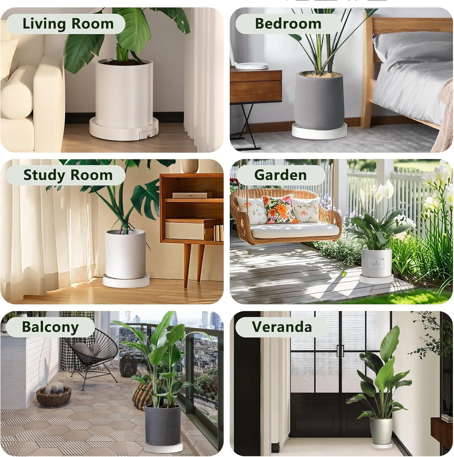 Das Bild zeigt sechs verschiedene Innen- und Außenszenen, jede mit einer Topfpflanze. Die Szenen sind beschriftet: Wohnzimmer, Schlafzimmer, Arbeitszimmer, Garten, Balkon, Veranda.