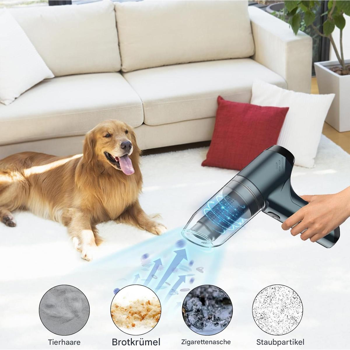 Ein Golden Retriever liegt in der Nähe eines Sofas. Eine Hand hält einen Staubsauger und reinigt Staub und Krümel. Beispiele für Ablagerungen werden gezeigt.