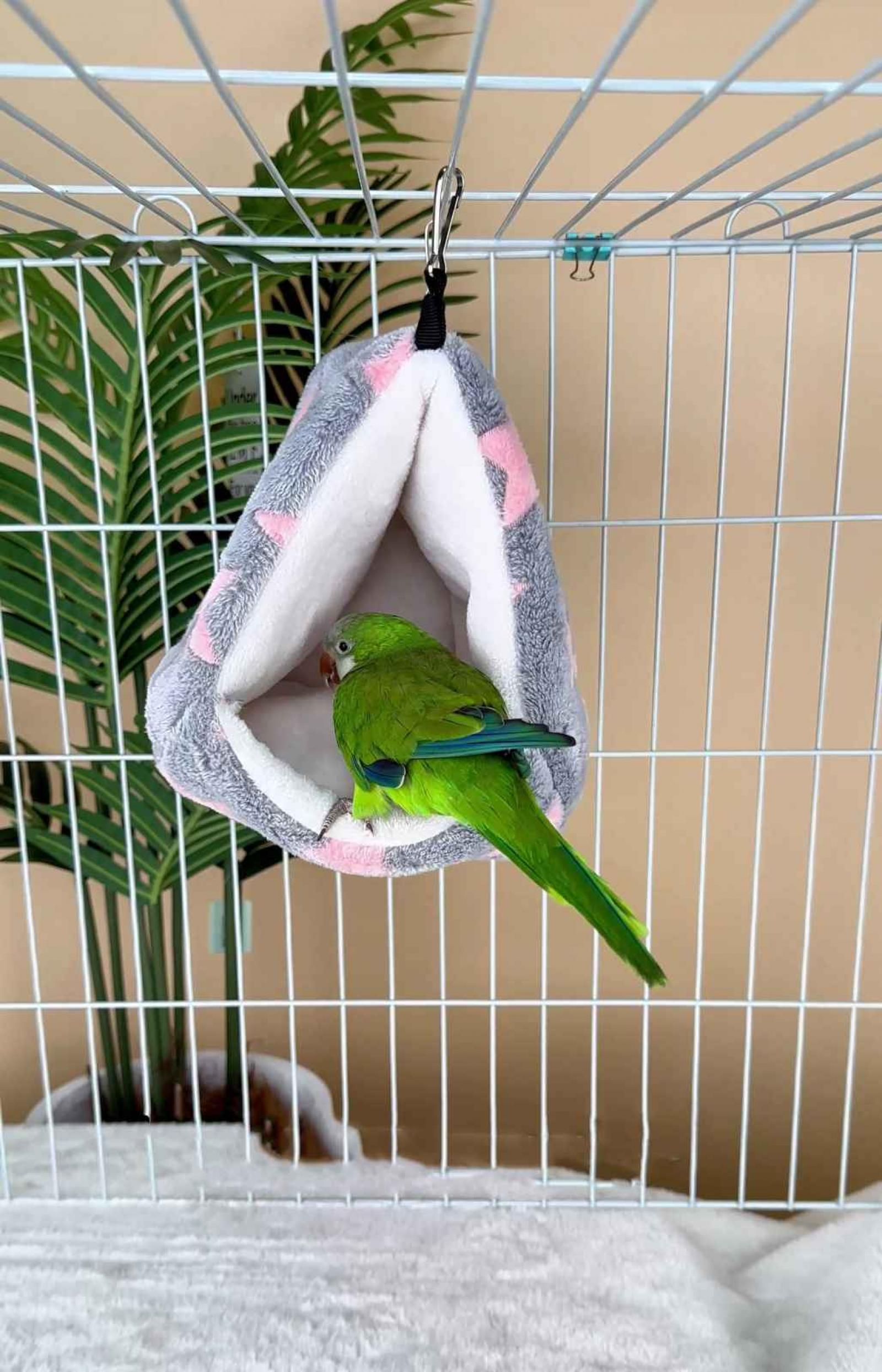 Ein grüner Papagei sitzt in einem grau-rosa Vogelhaus in einem Käfig. Grüne Blätter sind im Hintergrund.