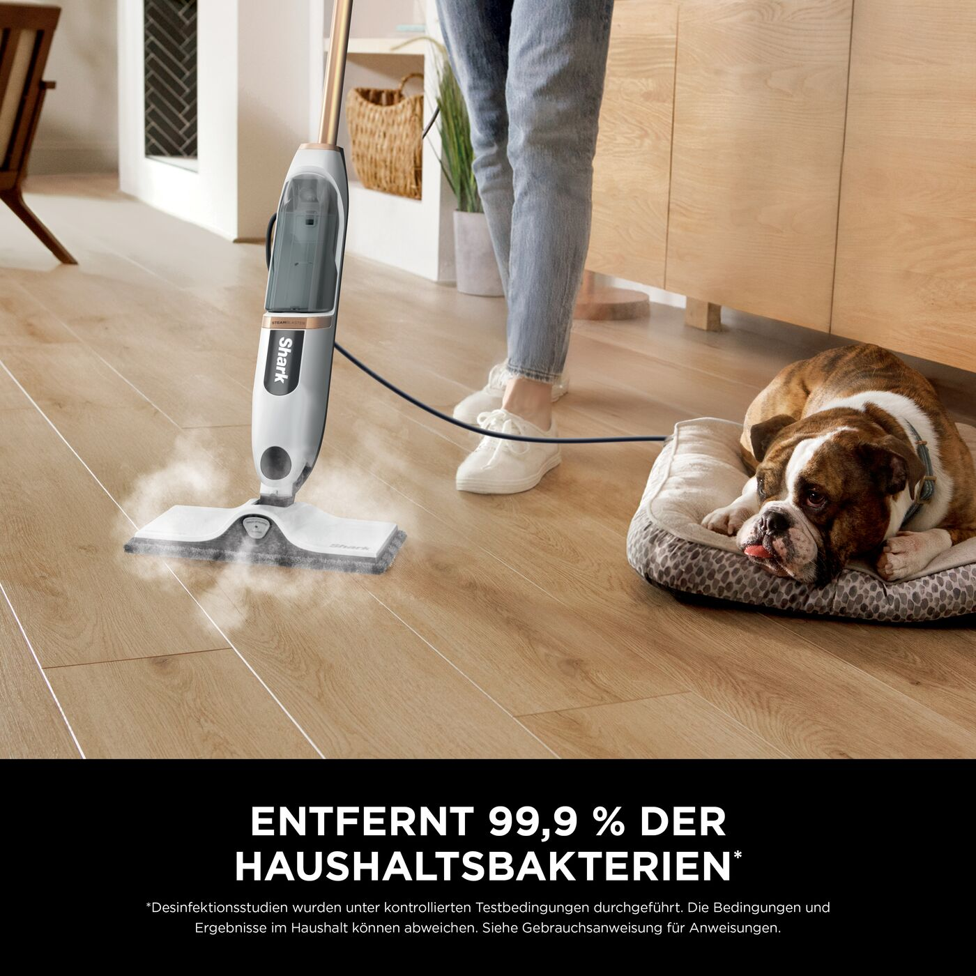 Eine Person wischt mit einem Shark-Dampfmopp einen Holzboden. Ein Hund ruht sich in der Nähe auf einem Bett aus. Text: Entfernt 99,9 % der Bakterien.