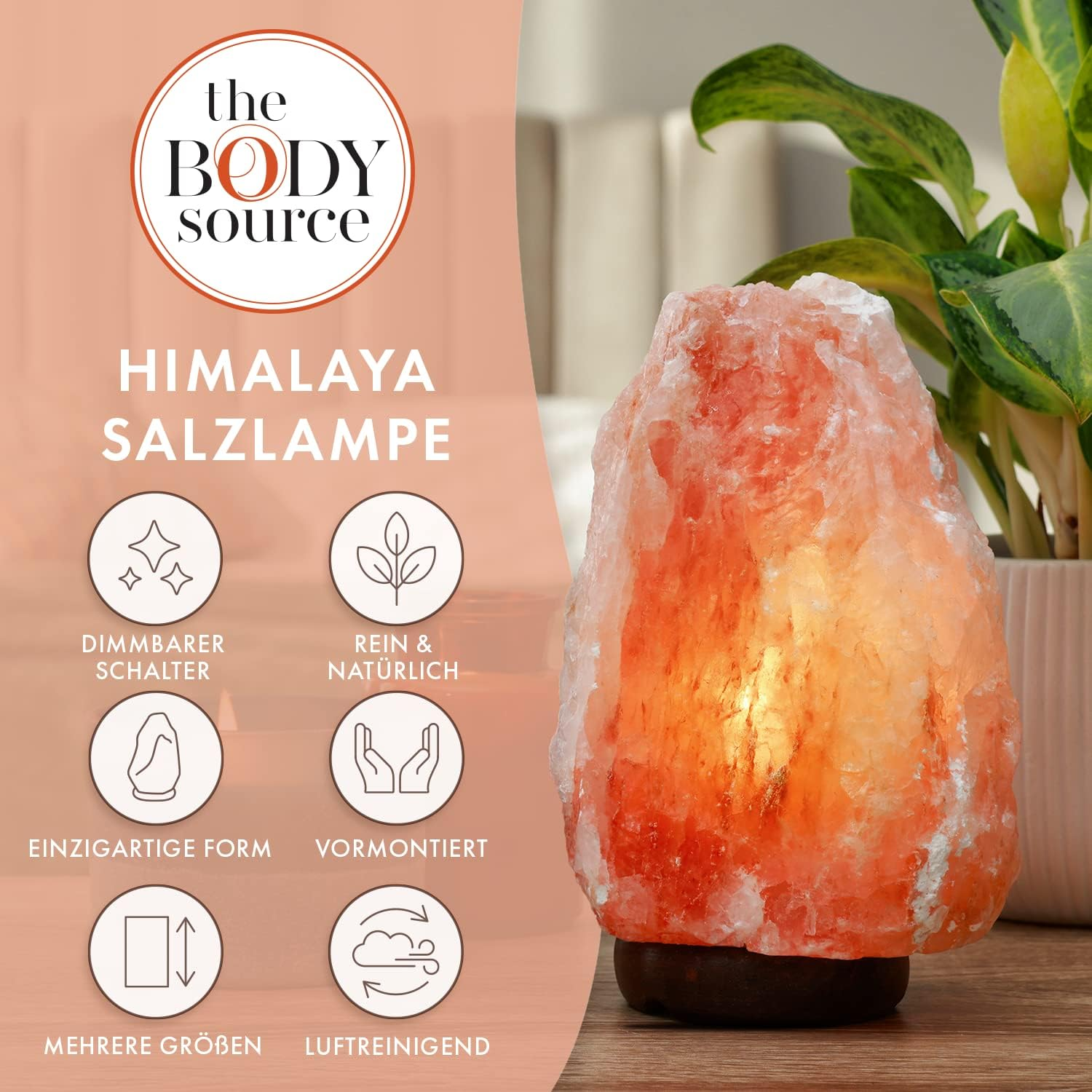 Eine leuchtende Himalaya-Salzlampe steht auf Holz. Das Licht beleuchtet das rosafarbene Salz. Eine Pflanze befindet sich in einem weißen Topf.