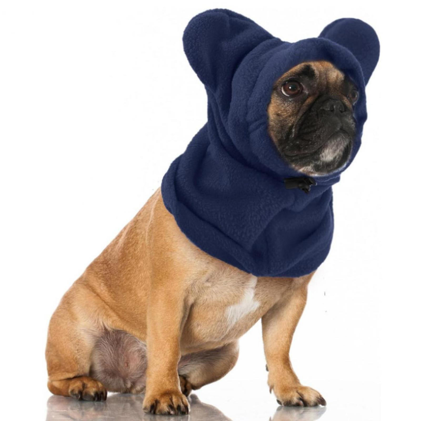 Eine Bulldogge mit einer marineblauen Kapuze mit Bärenohren sitzt auf einer weißen Oberfläche. Der Hund ist hellbraun mit schwarzer Schnauze.