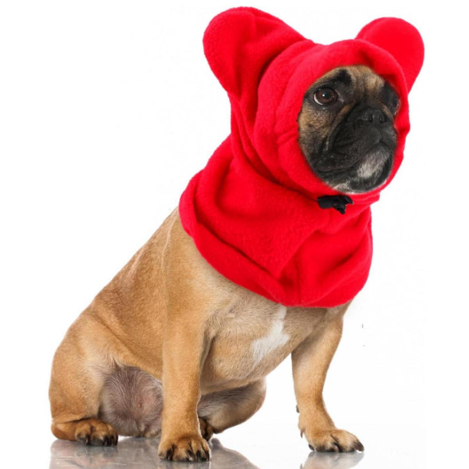 Ein hellbrauner Französisch Bulldogge sitzt mit roter Kapuze und Ohren. Schwarze Schleife, weißer Hintergrund.