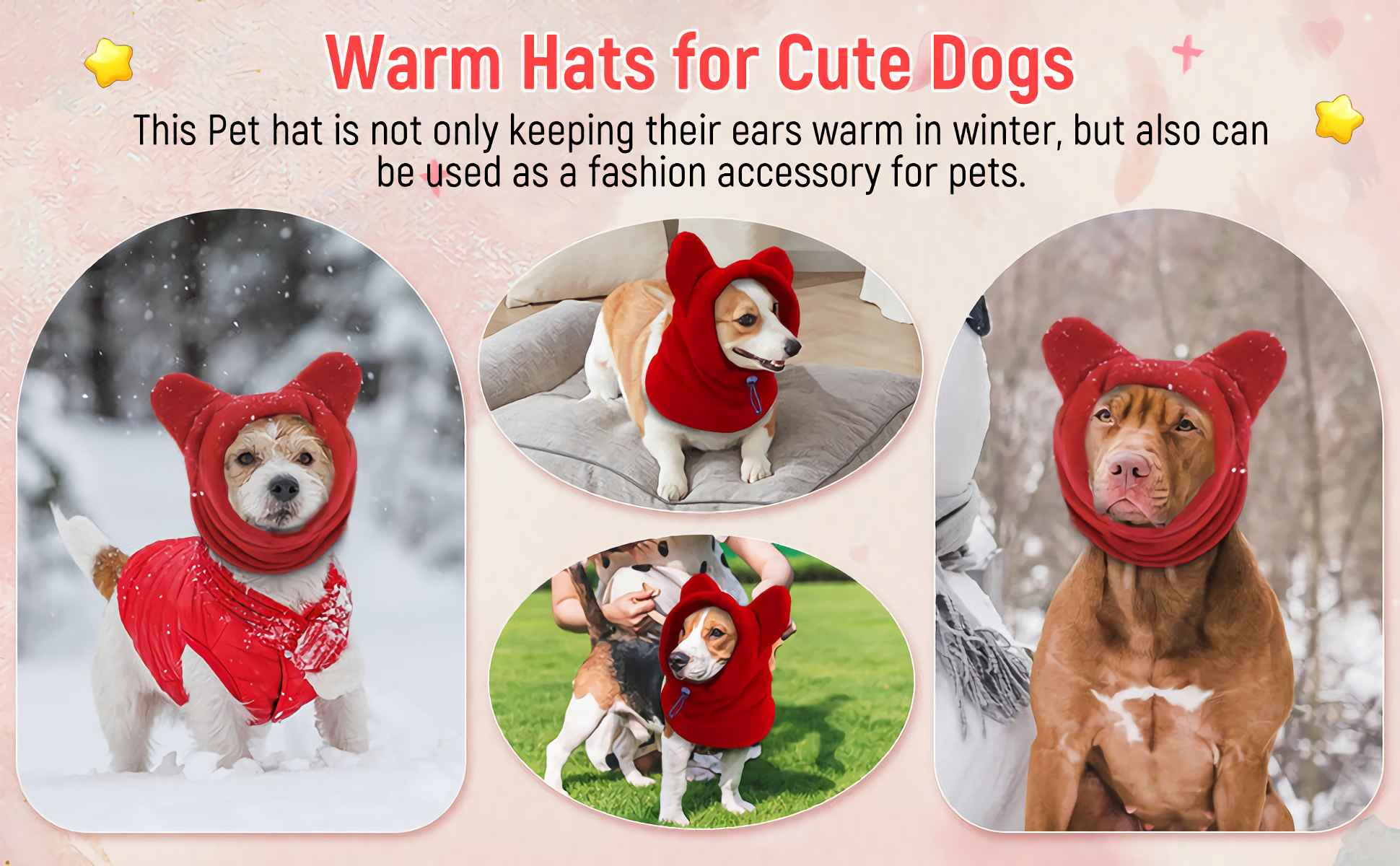 Das Bild zeigt Hunde mit roten Hüten. Text sagt: 'Warme Hüte für süße Hunde'.