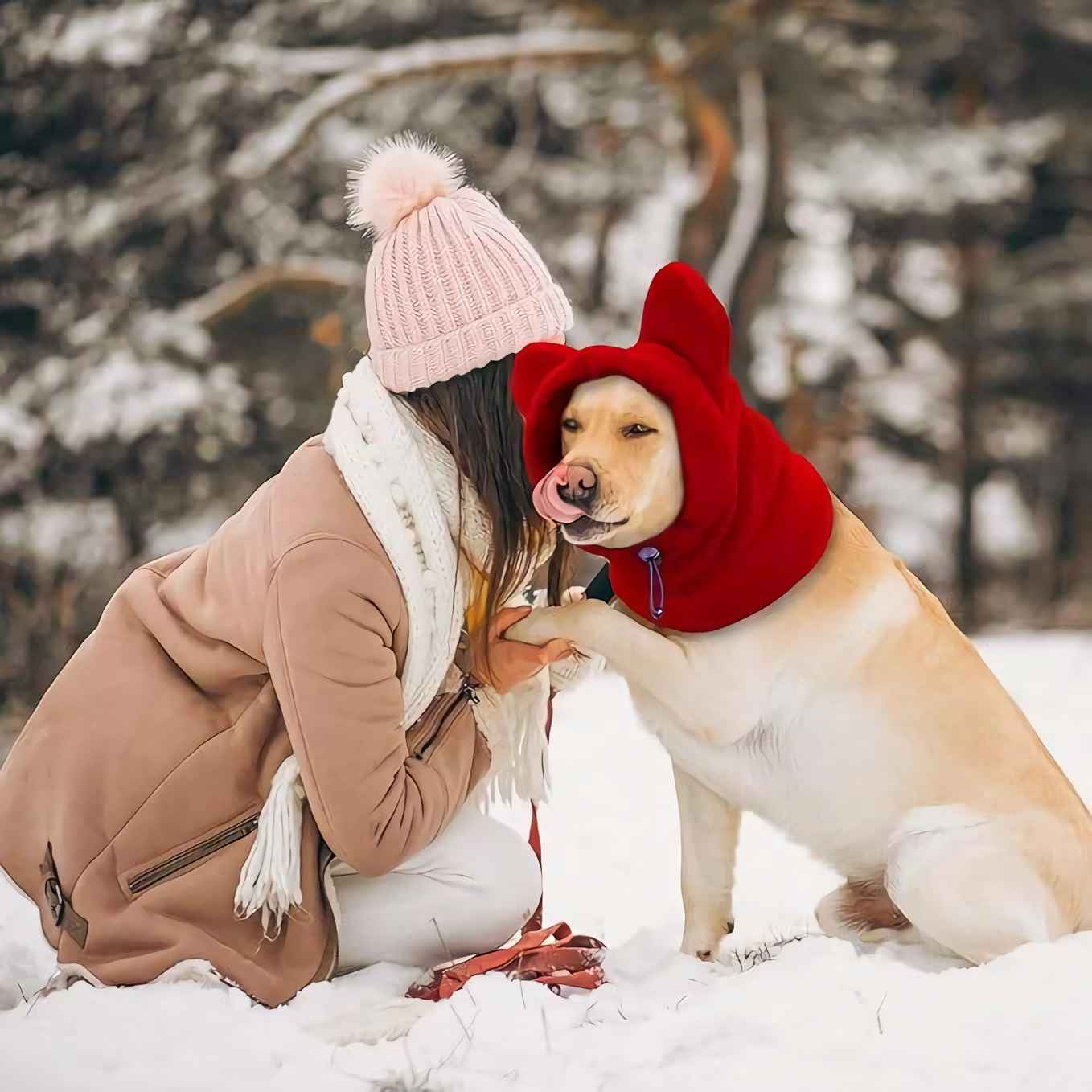 Eine Frau kniet im Schnee und streichelt einen Hund mit roter Kapuze. Der Hund leckt sich die Nase. Im Hintergrund Bäume im Schnee.