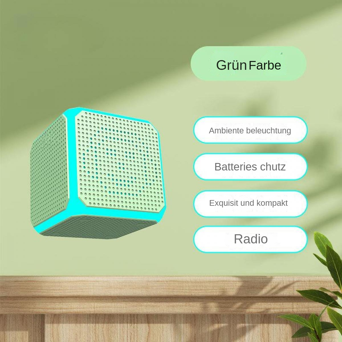 Ein mintgrüner Lautsprecher mit türkisfarbenem Rand auf grünem Hintergrund. Text kennzeichnet Funktionen wie 'Grün Farbe' und 'Radio'.