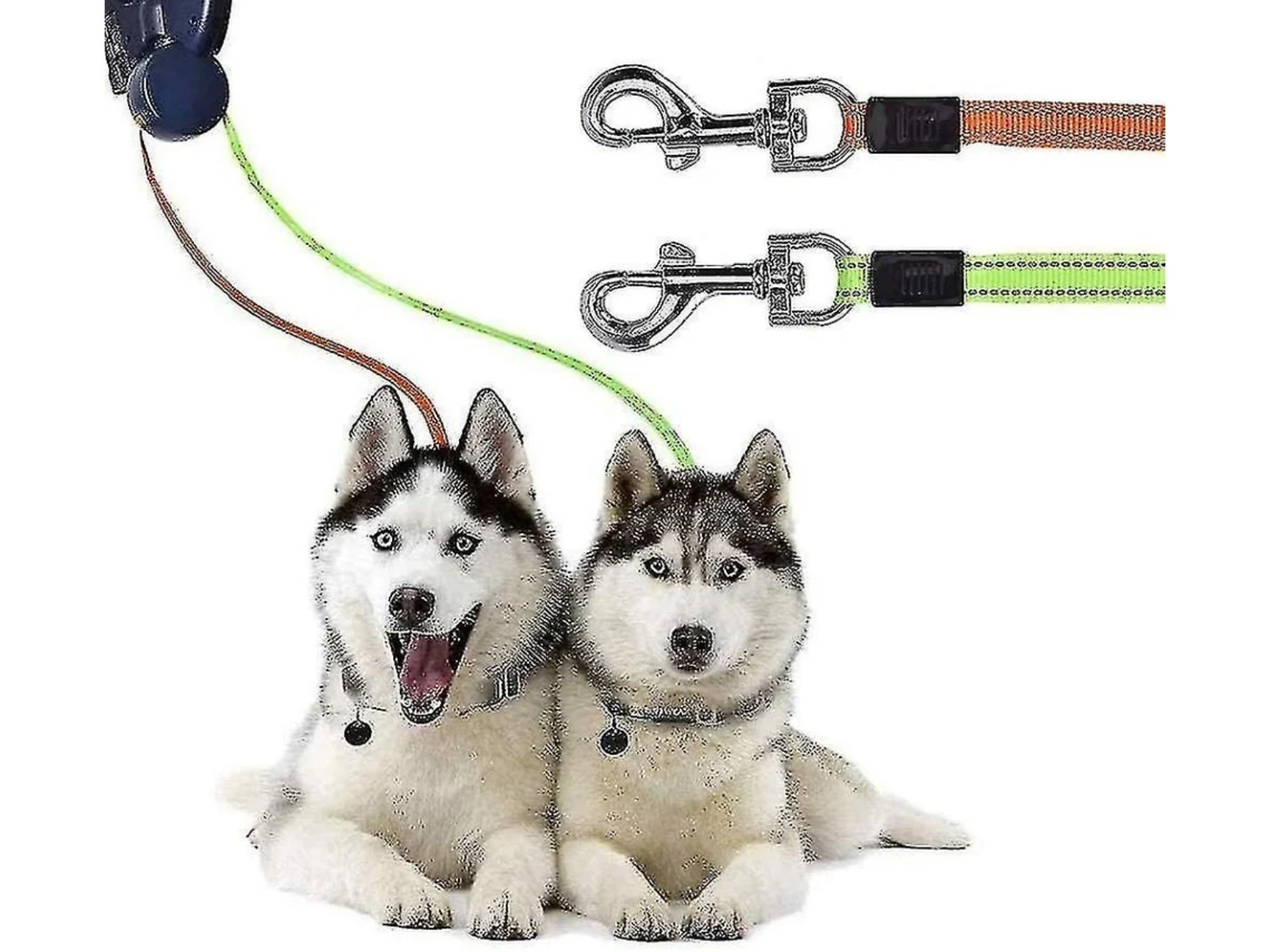 Zwei Huskys mit Leinen. Ein Hund hechelt. Zwei Leinen, die oben im Bild an einem Doppel-Leinensystem befestigt sind.
