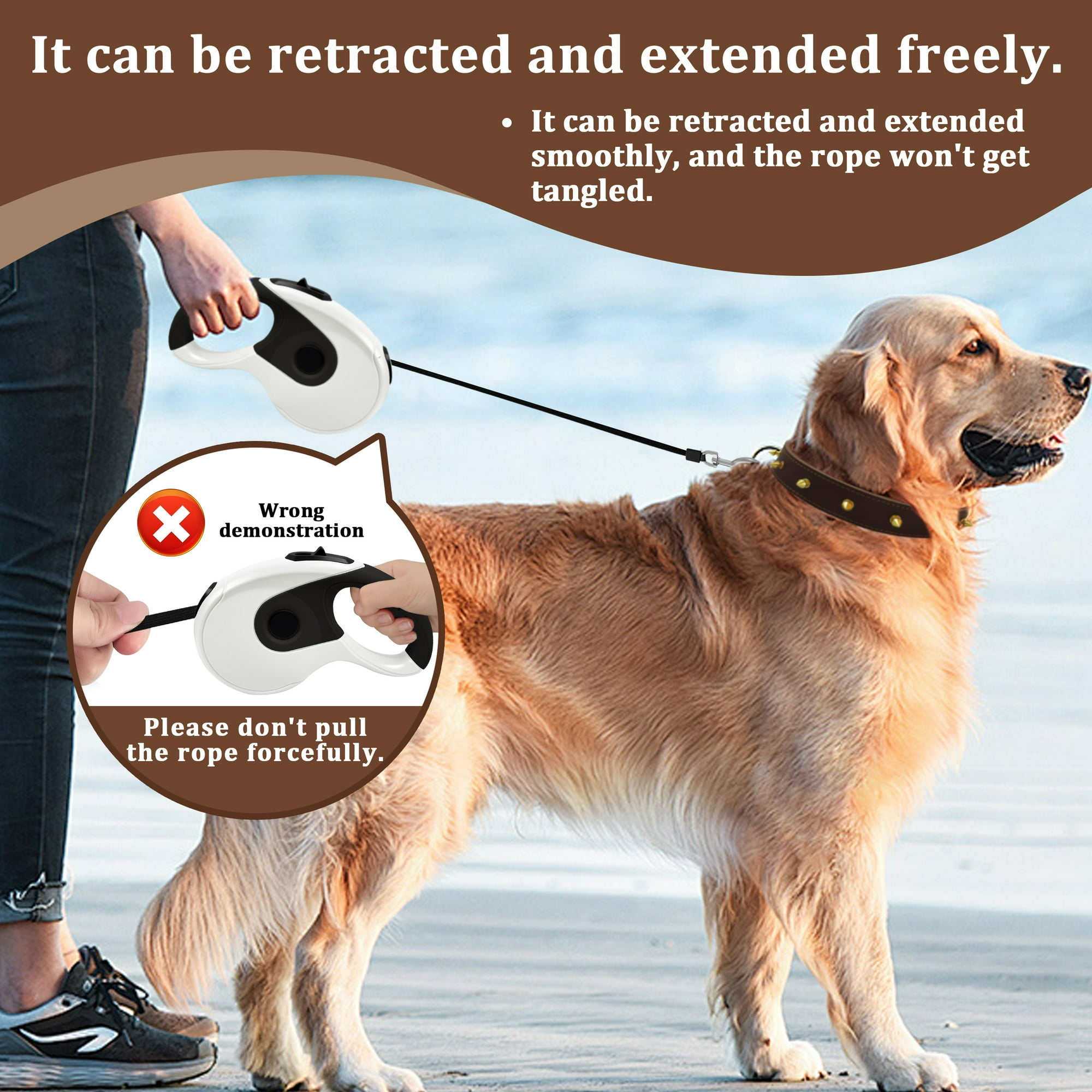 Eine Person hält eine einziehbare Leine, die an einem Golden Retriever befestigt ist. Anweisungen zur Verwendung werden gezeigt.