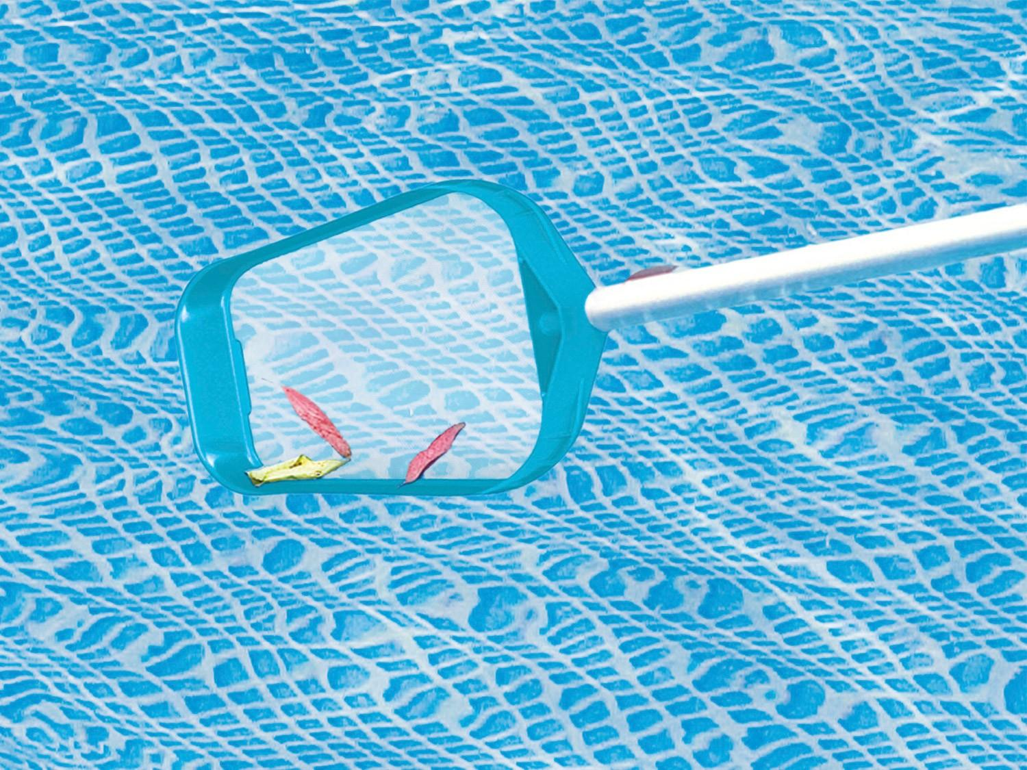Una red de piscina recoge escombros de una superficie de agua azul. Contiene hojas rojas y amarillas. Mango blanco se extiende a la derecha.