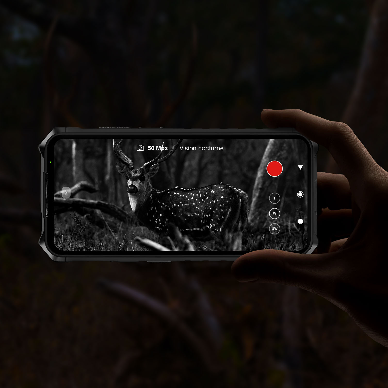 Eine Hand hält ein Telefon, das einen Hirsch in einem Wald bei Nachtsicht zeigt. Der Bildschirm zeigt 50 Mpx und 'Vision nocturne'.