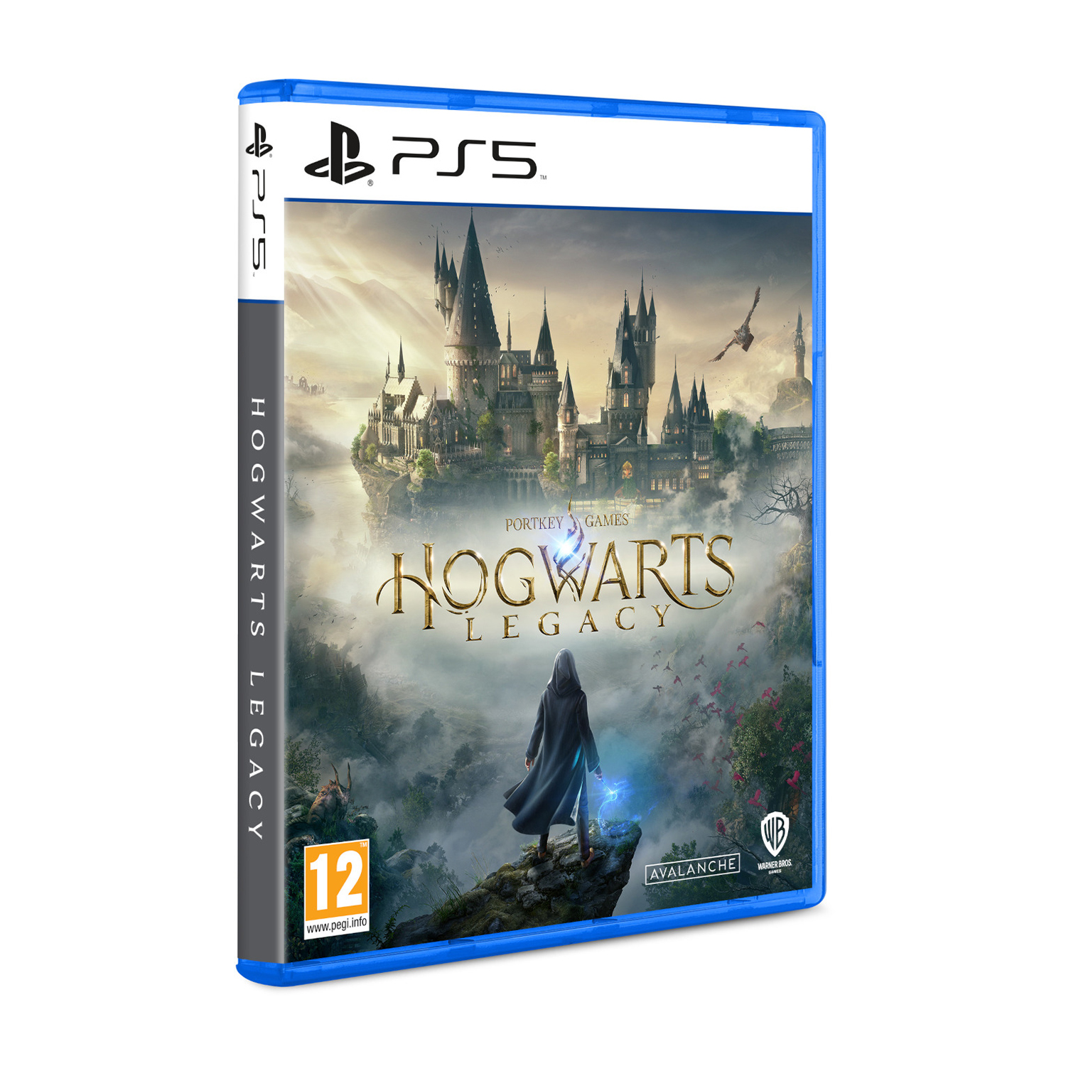 Custodia del gioco PS5 per Hogwarts Legacy. Mostra una figura in mantello con un incantesimo magico davanti al castello di Hogwarts.