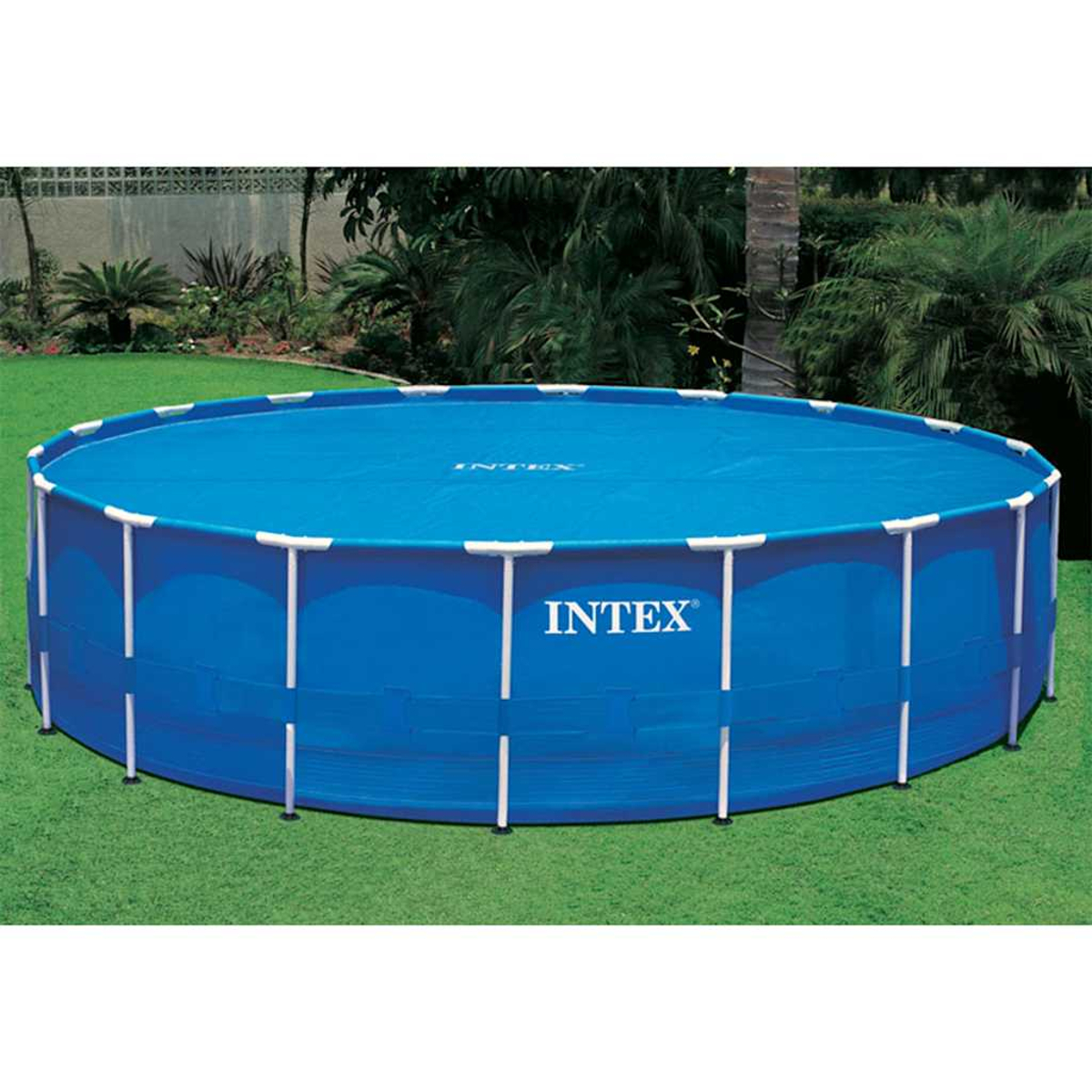 Ein runder, blauer Intex-Pool auf grünem Gras. Weiße Stützen. Bäume und Büsche im Hintergrund.