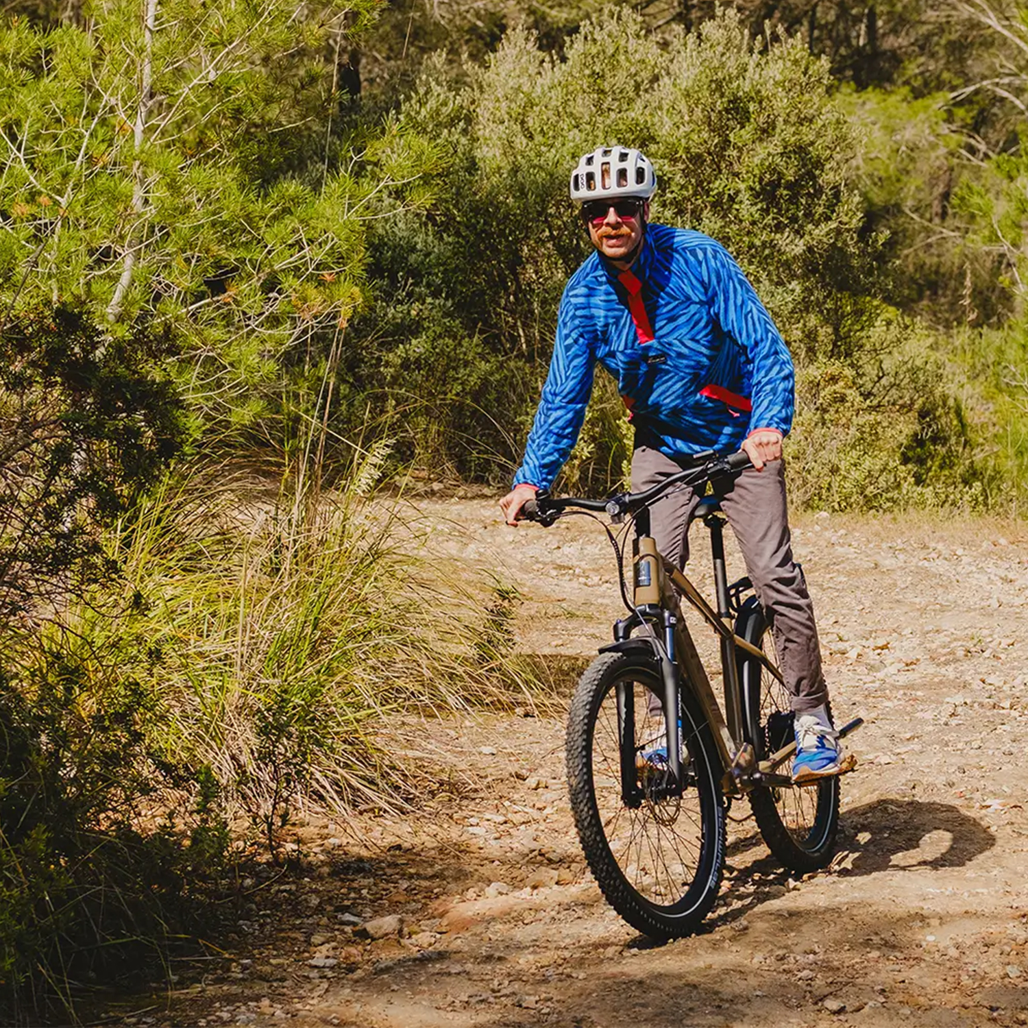 Ein Mann fährt mit dem Mountainbike auf einem Feldweg, umgeben von grünen Büschen und Bäumen. Er trägt einen Helm und eine blaue Jacke.